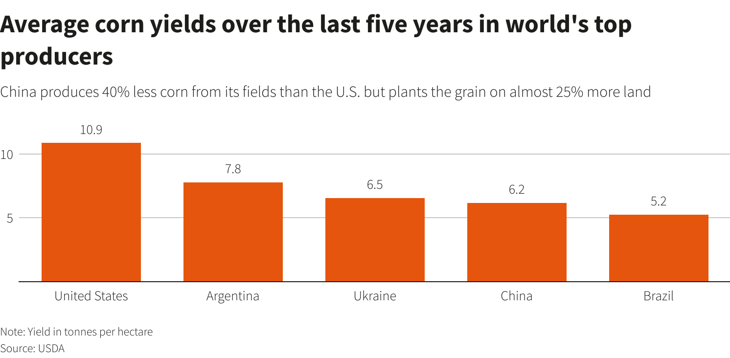Average corn yields over the last five years in world's top producers