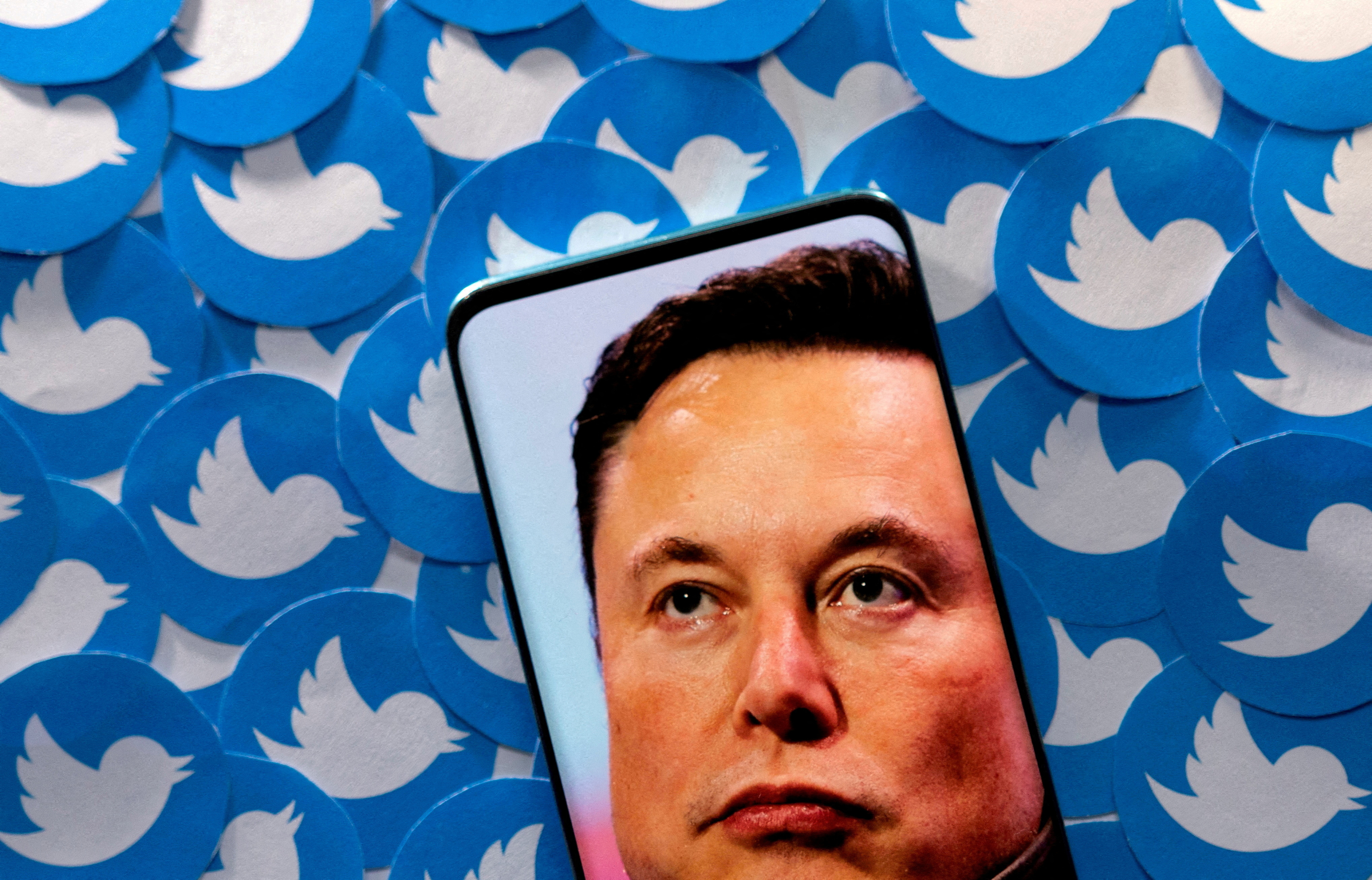 An illustration showing an image of Elon Musk and the famous Twitter logo