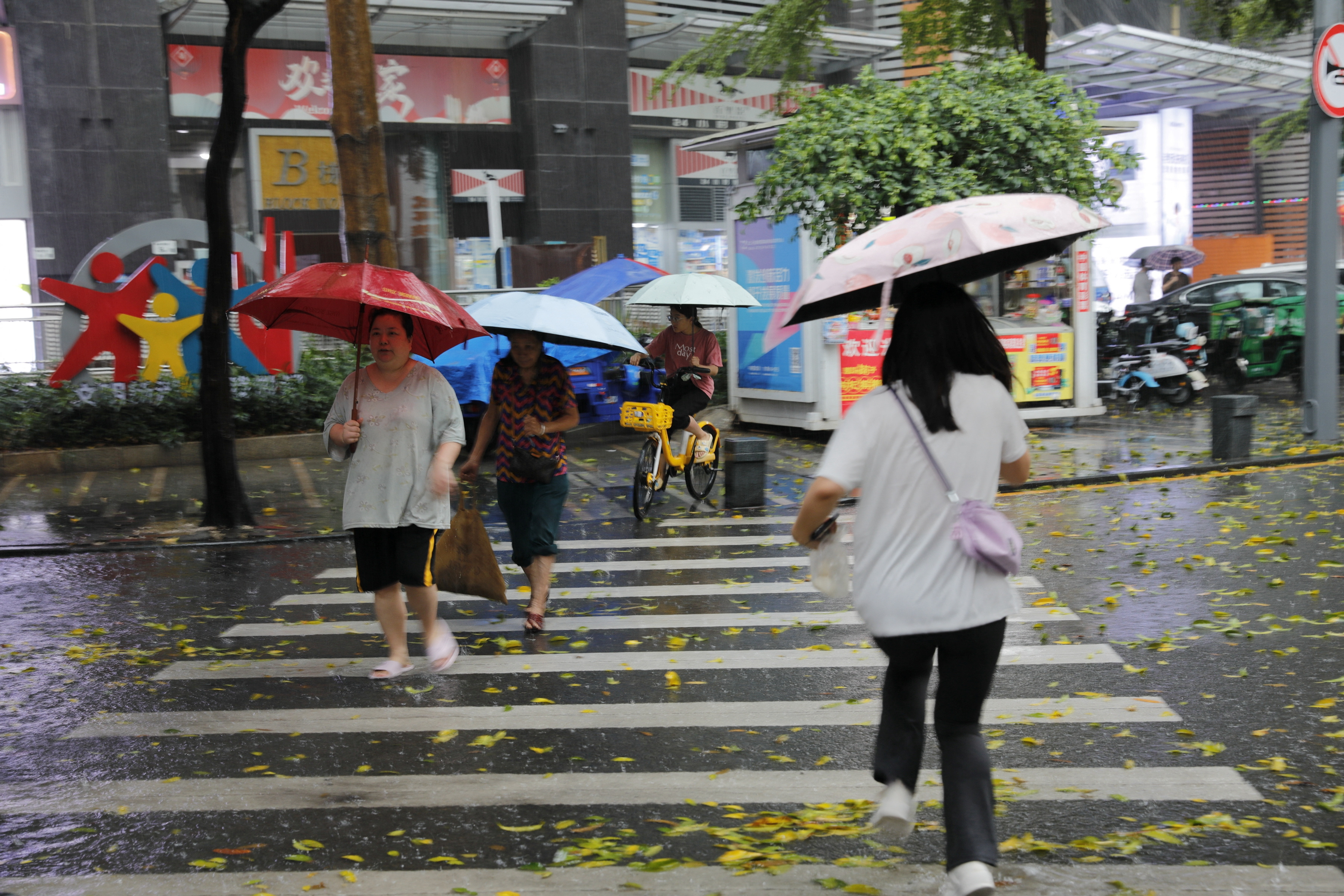 Pedestrians holding umbrellas cross a street amid a rainstorm in Shenzhen