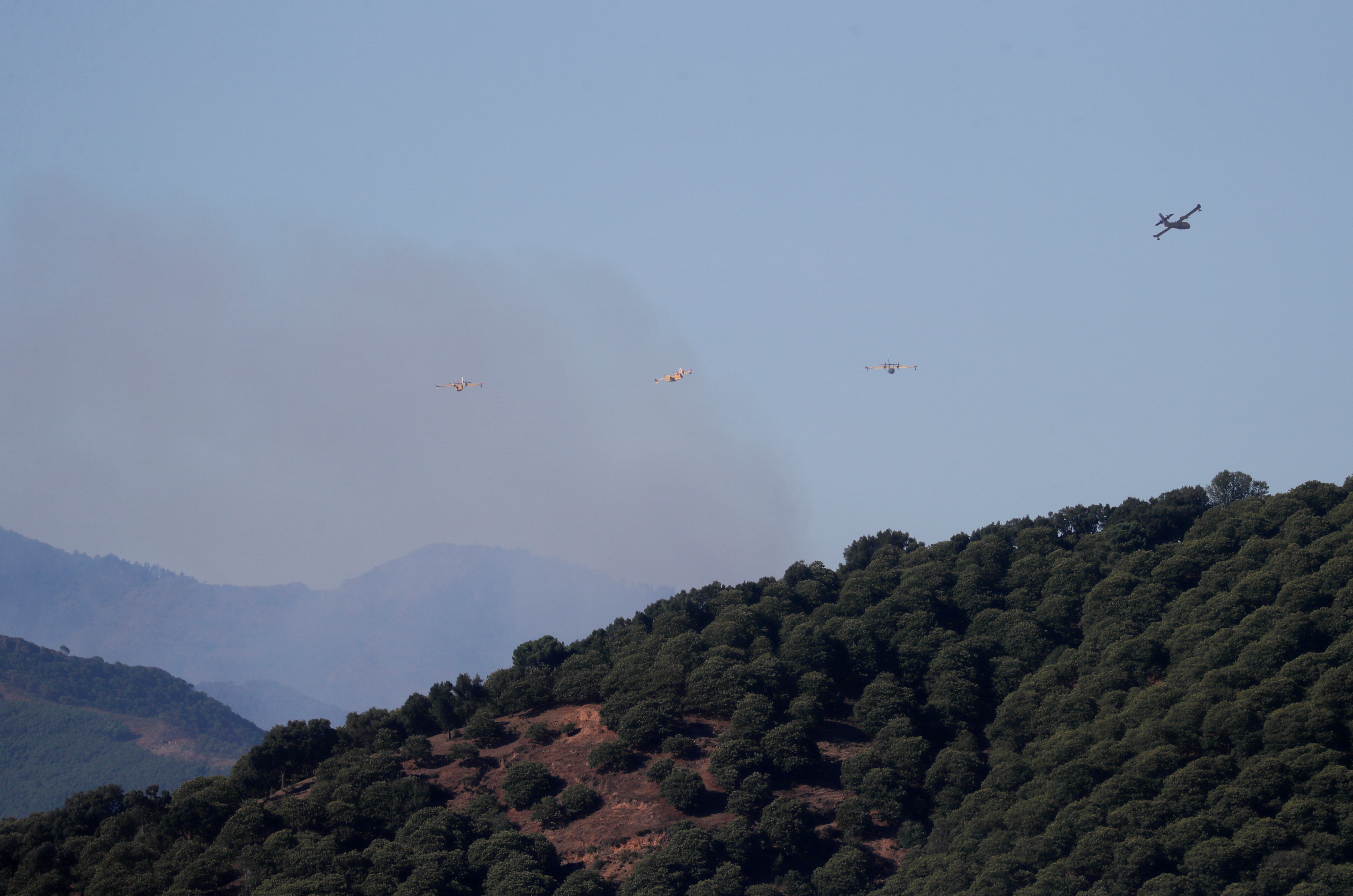 Wildfire on Sierra Bermeja mountain