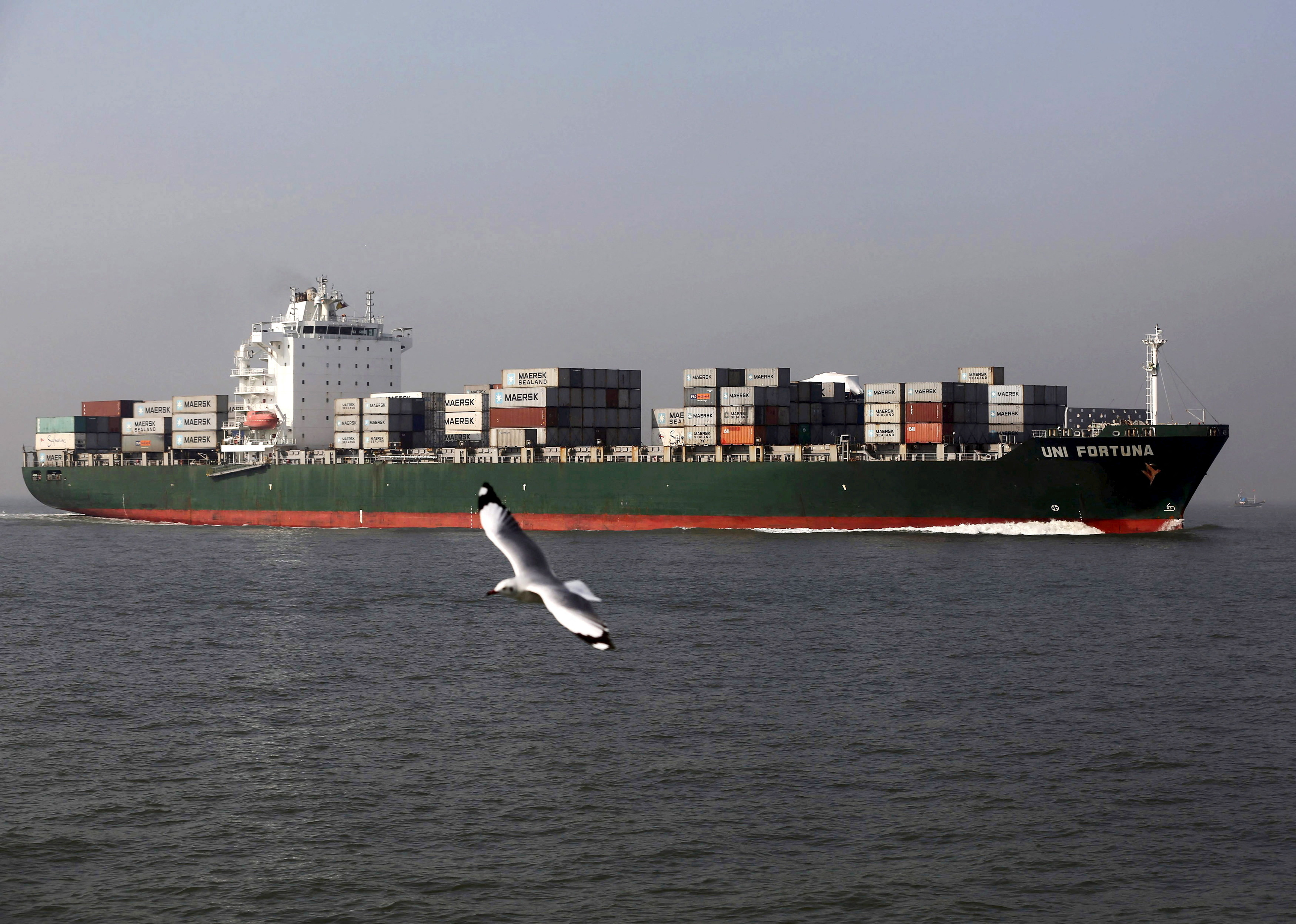 A seagull flies past a cargo container ship off the coast of Mumbai
