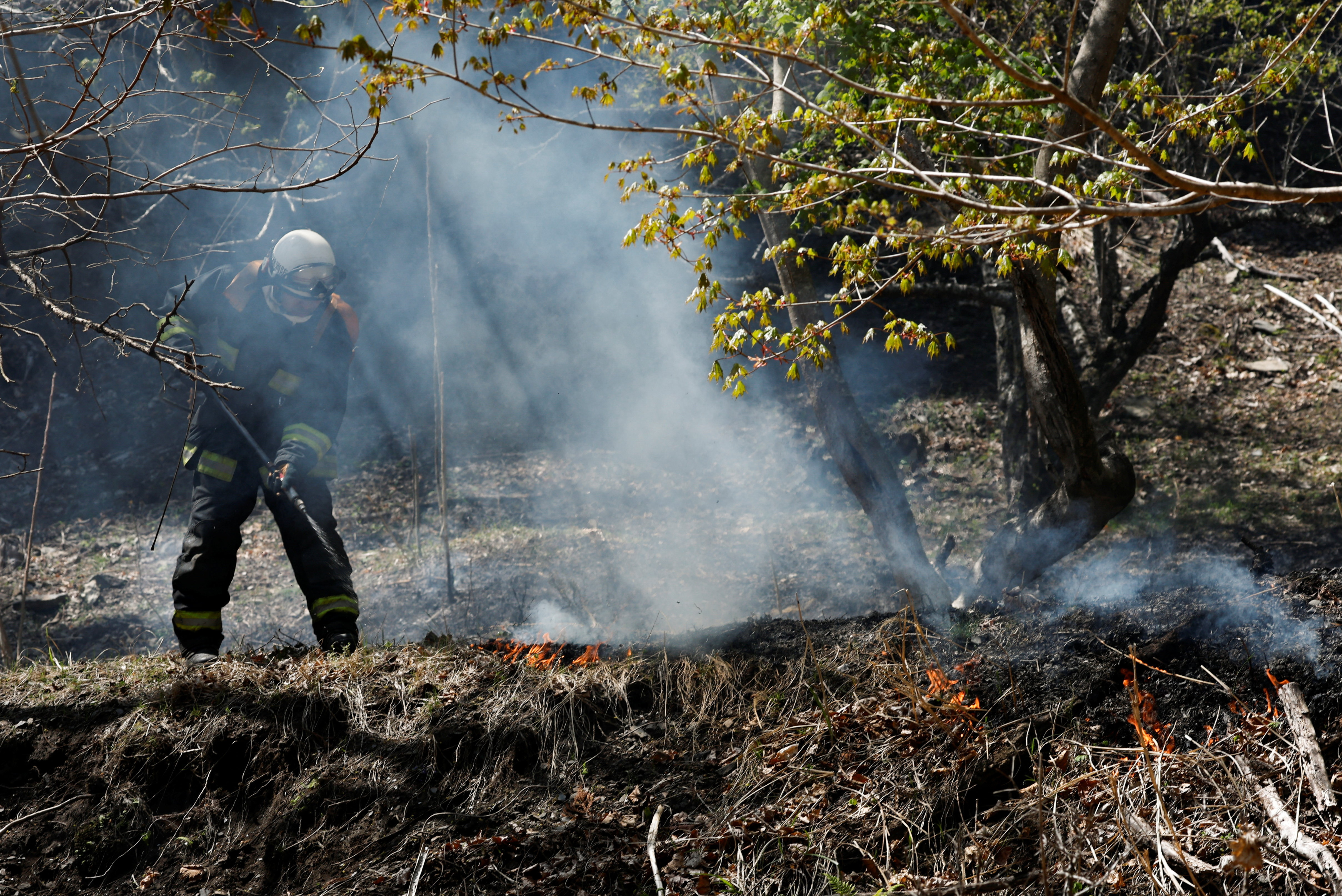Japan deploys hundreds of firefighters as wildfires rage in north