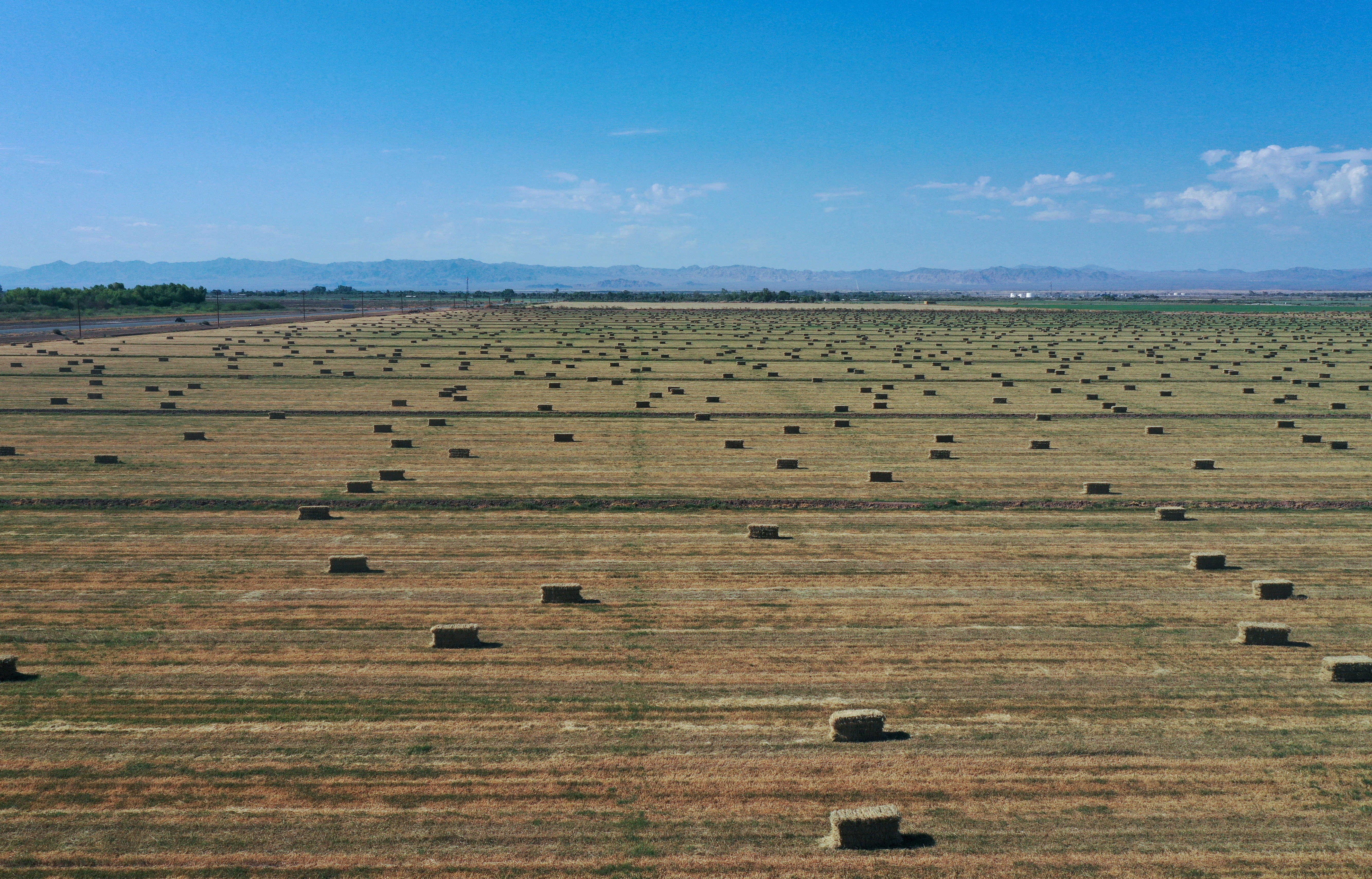 Aerial view shows agricultural fields during 2021 drought in California
