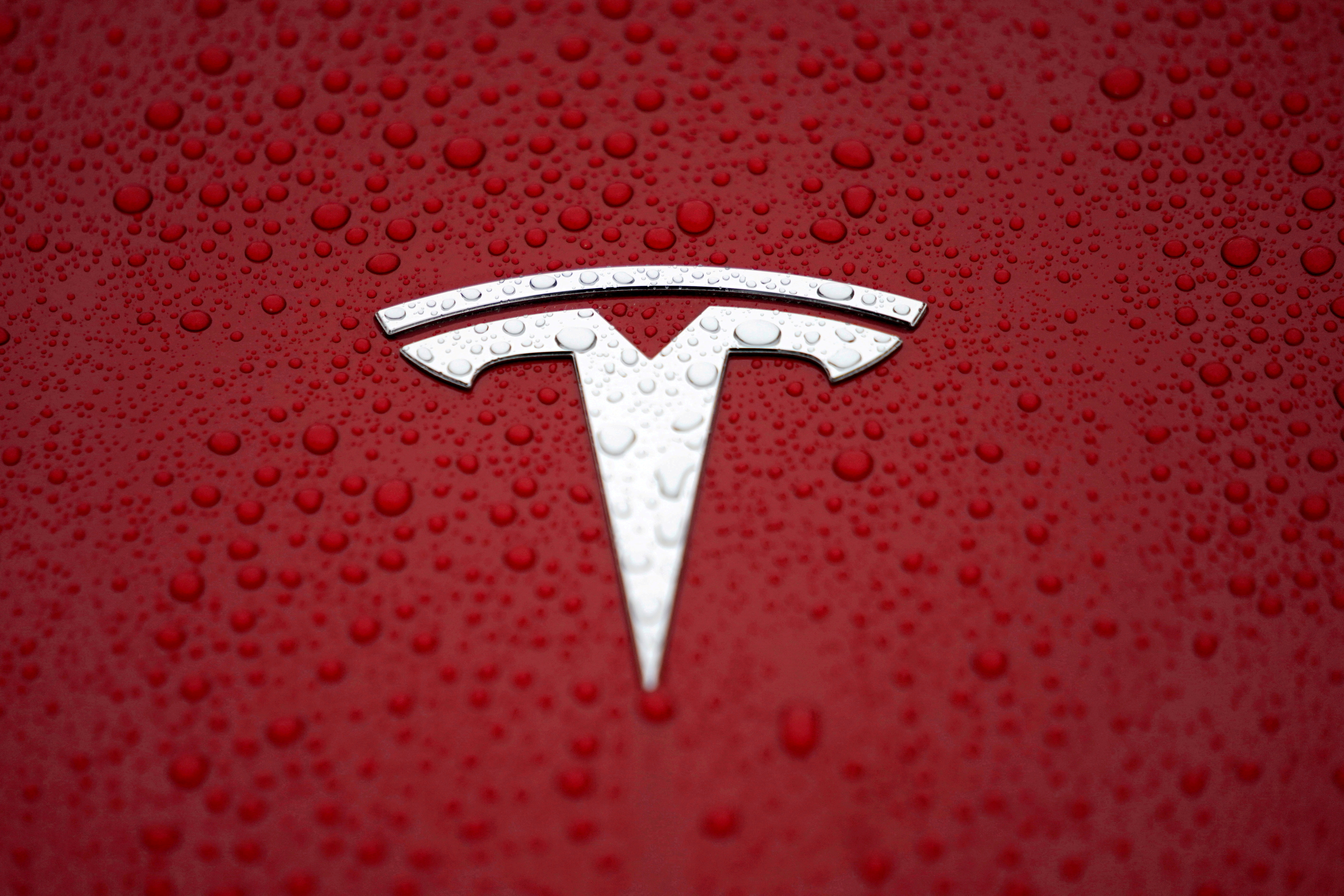 A Tesla logo is seen at the Tesla Shanghai Gigafactory in Shanghai