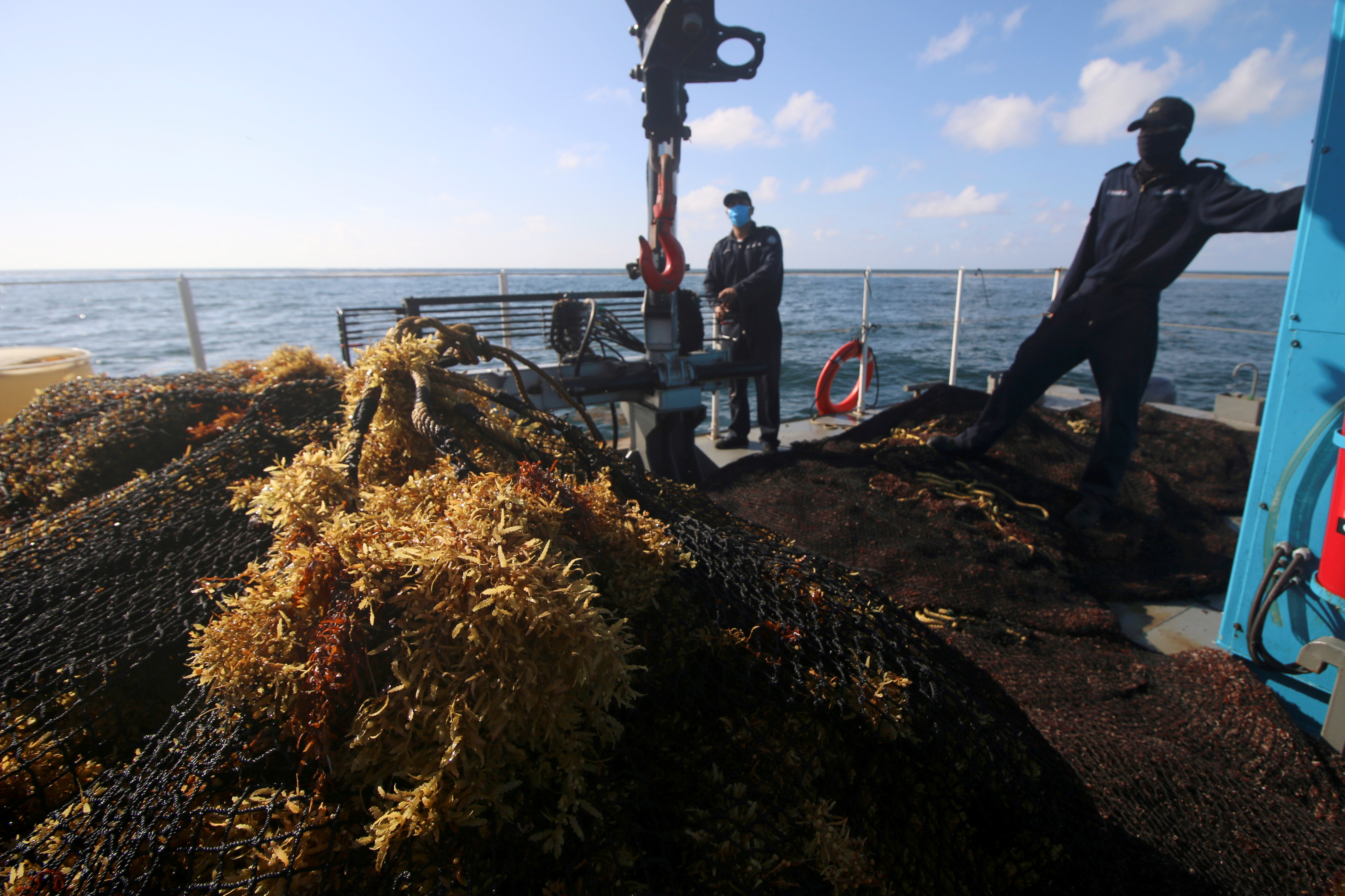 Mexican Marines stand next to sargassum removed from the sea as part of a government program to remove the algae, in Cancun, Mexico July 20, 2021. Picture taken July 20, 2021. REUTERS/Paola Chiomante