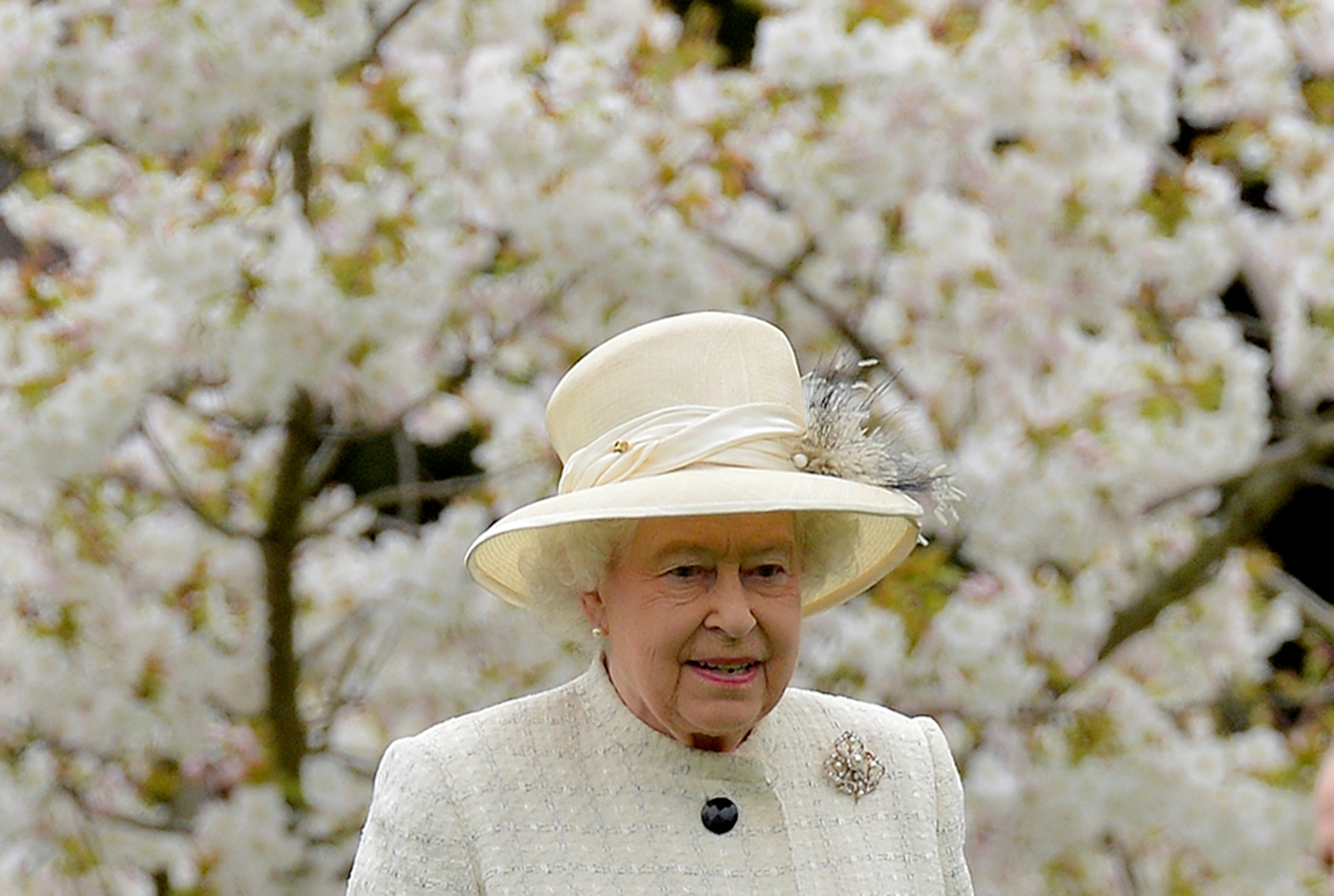 Old queen. Королева Елизавета 2. Королева Елизавета II (1982 - 2022). Елизавета II 1982. Елизавета 2 1987 год.