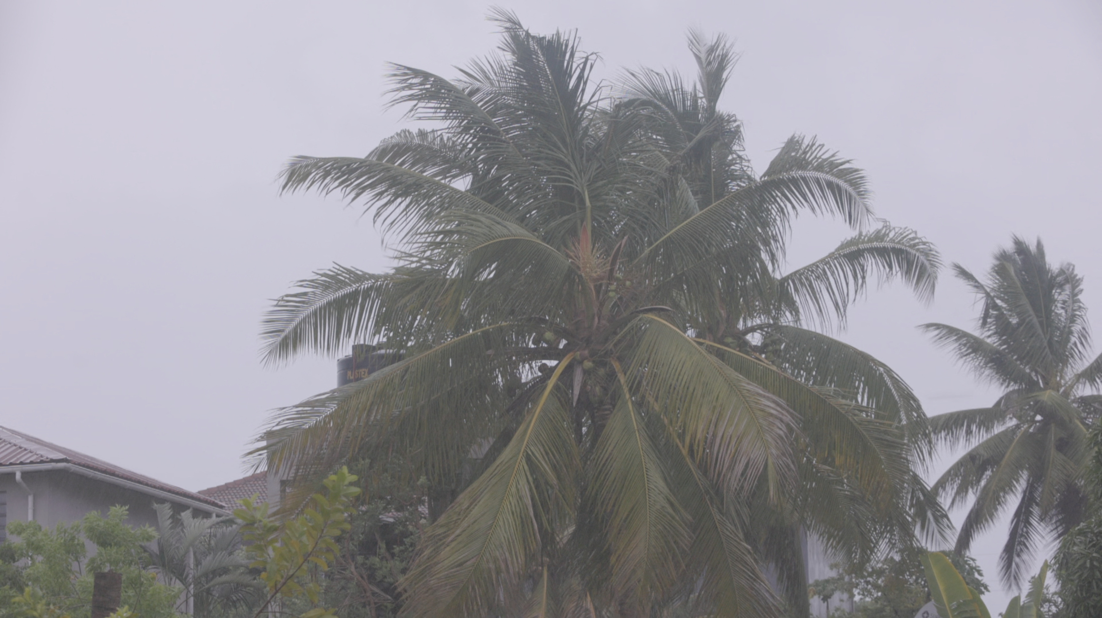 Cyclone Freddy makes landfall over Vilankulos