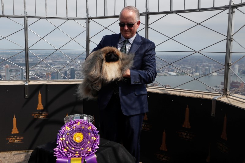 Westminster Kennel Club Dog Show in New York City