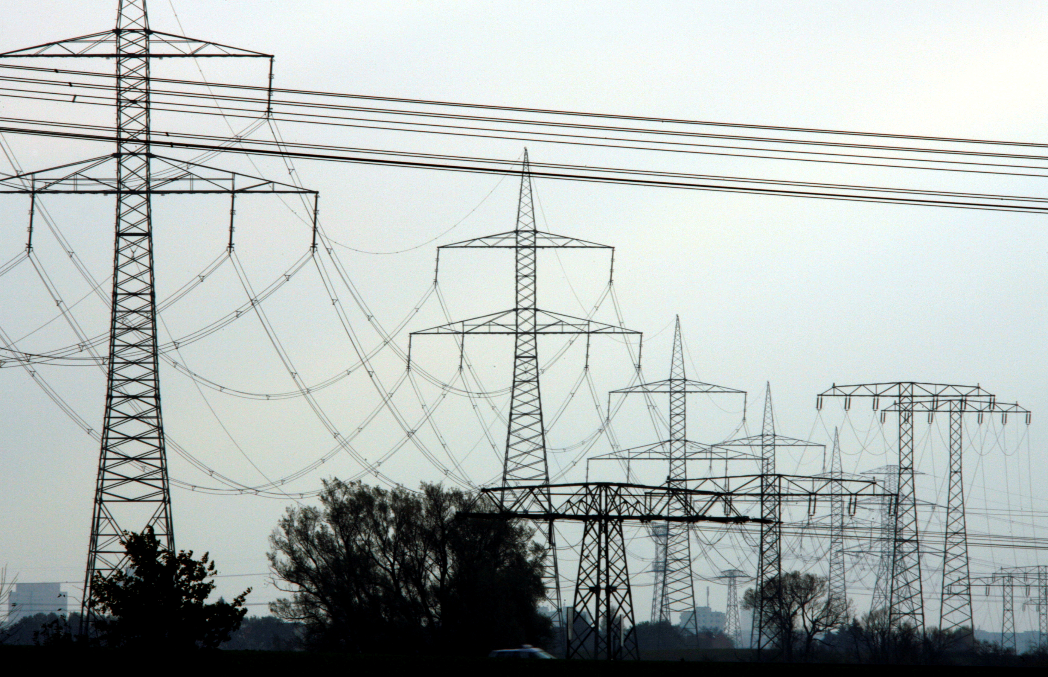 High-voltage power lines and electricity pylons pictured near Berlin, November 7, 2006. REUTERS/Pawel Kopczynski
