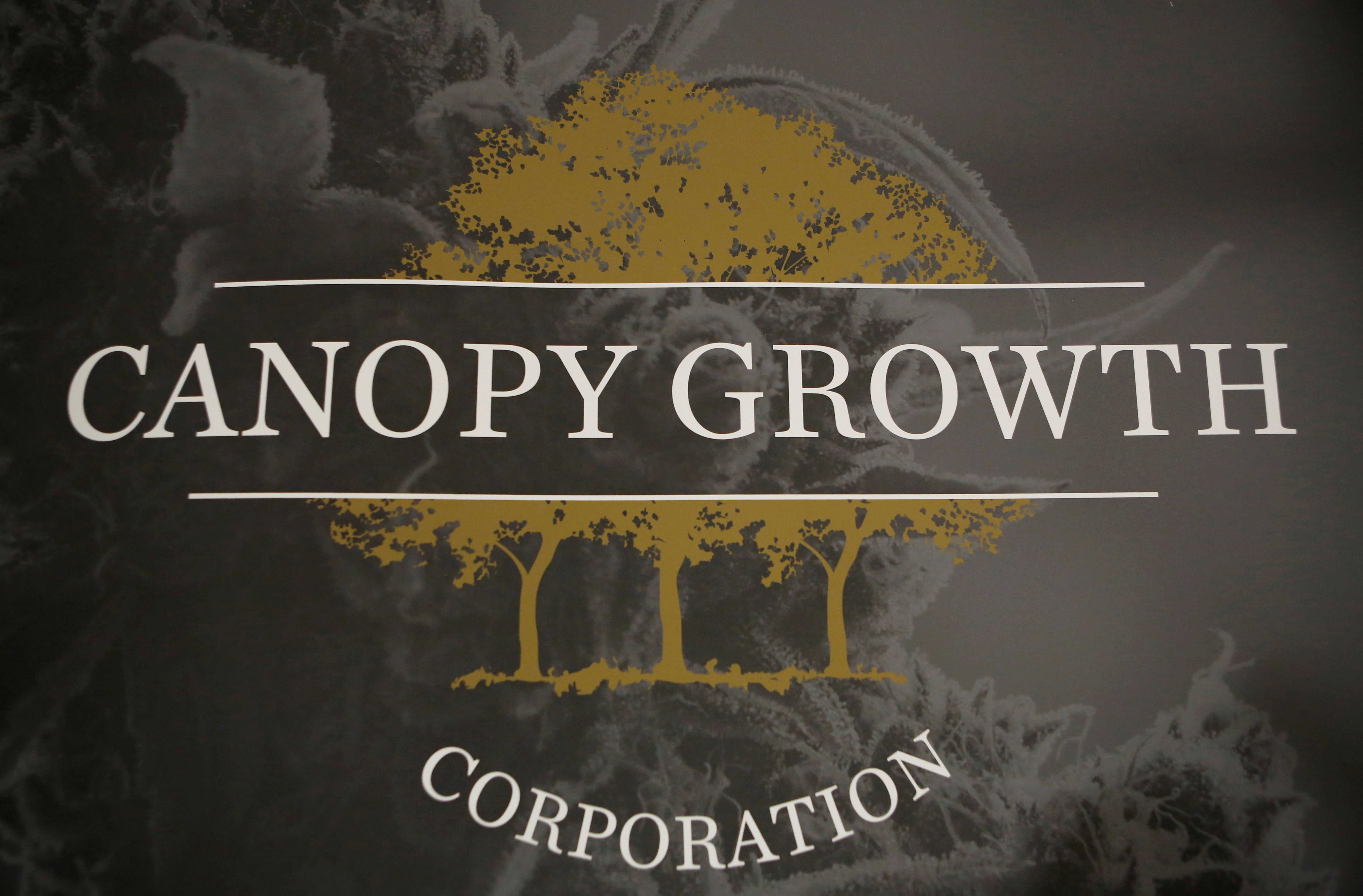 A sign featuring Canopy Growth Corporation's logo is pictured at their facility in Smiths Falls, Ontario, Canada, January 4, 2018.   REUTERS/Chris Wattie//File Photo