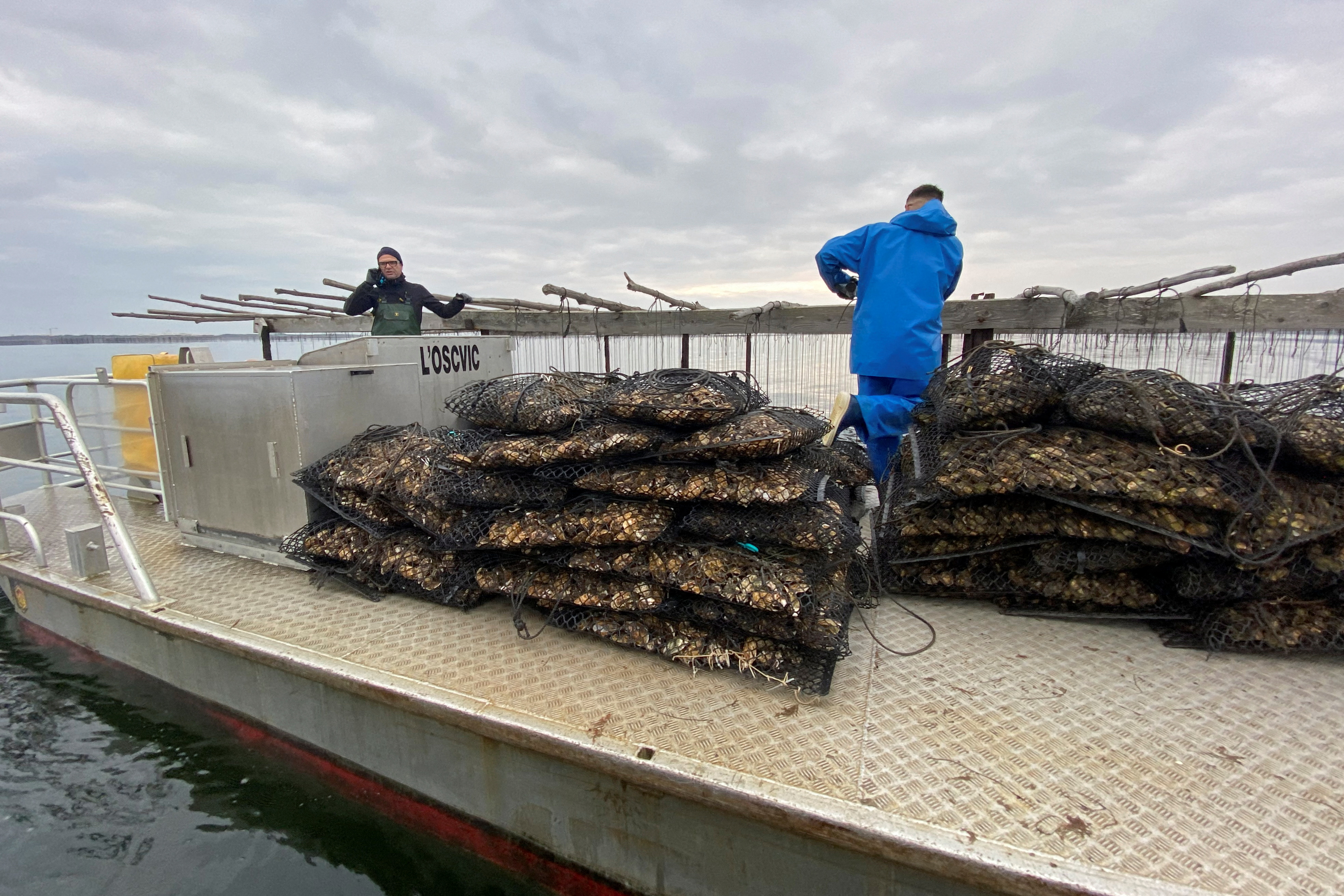 Oyster farmers are seen at work, near Leucate, southern France, December 23, 2021. Picture taken December 23, 2021. REUTERS/Alexandre Minguez  