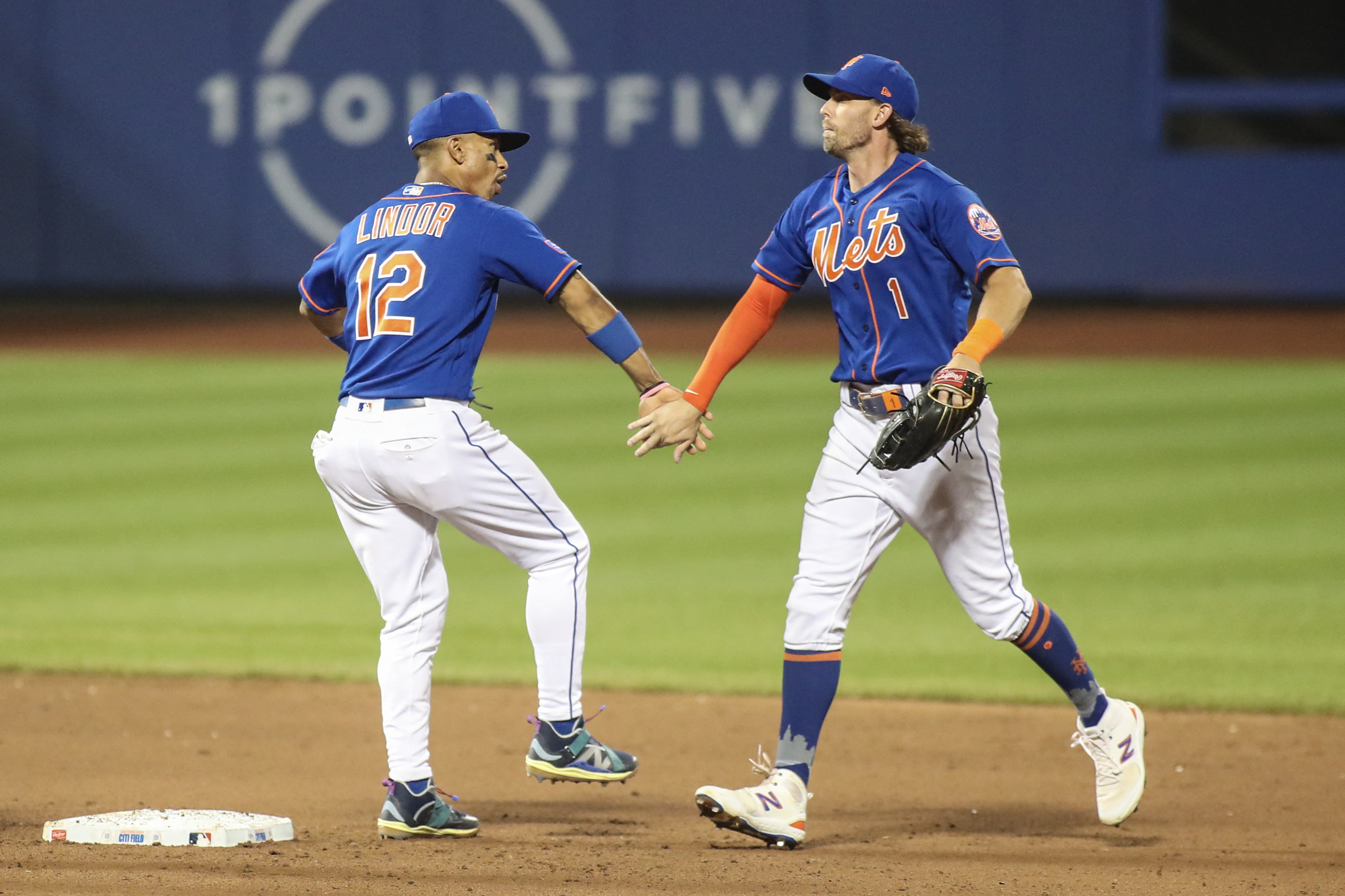 2015 New York Mets World Series NLCS Champion Banner