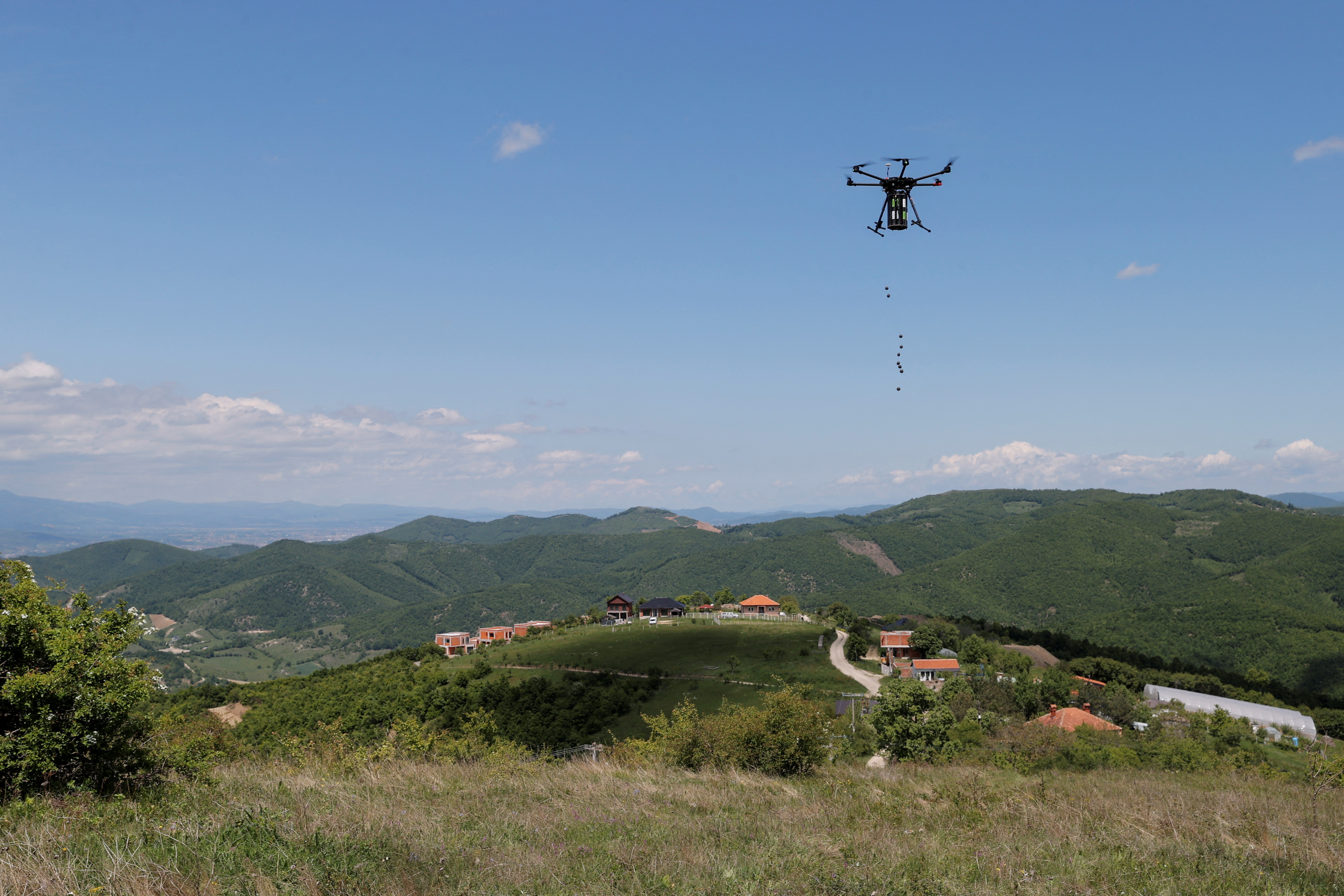 Drone reforestation in Butovc