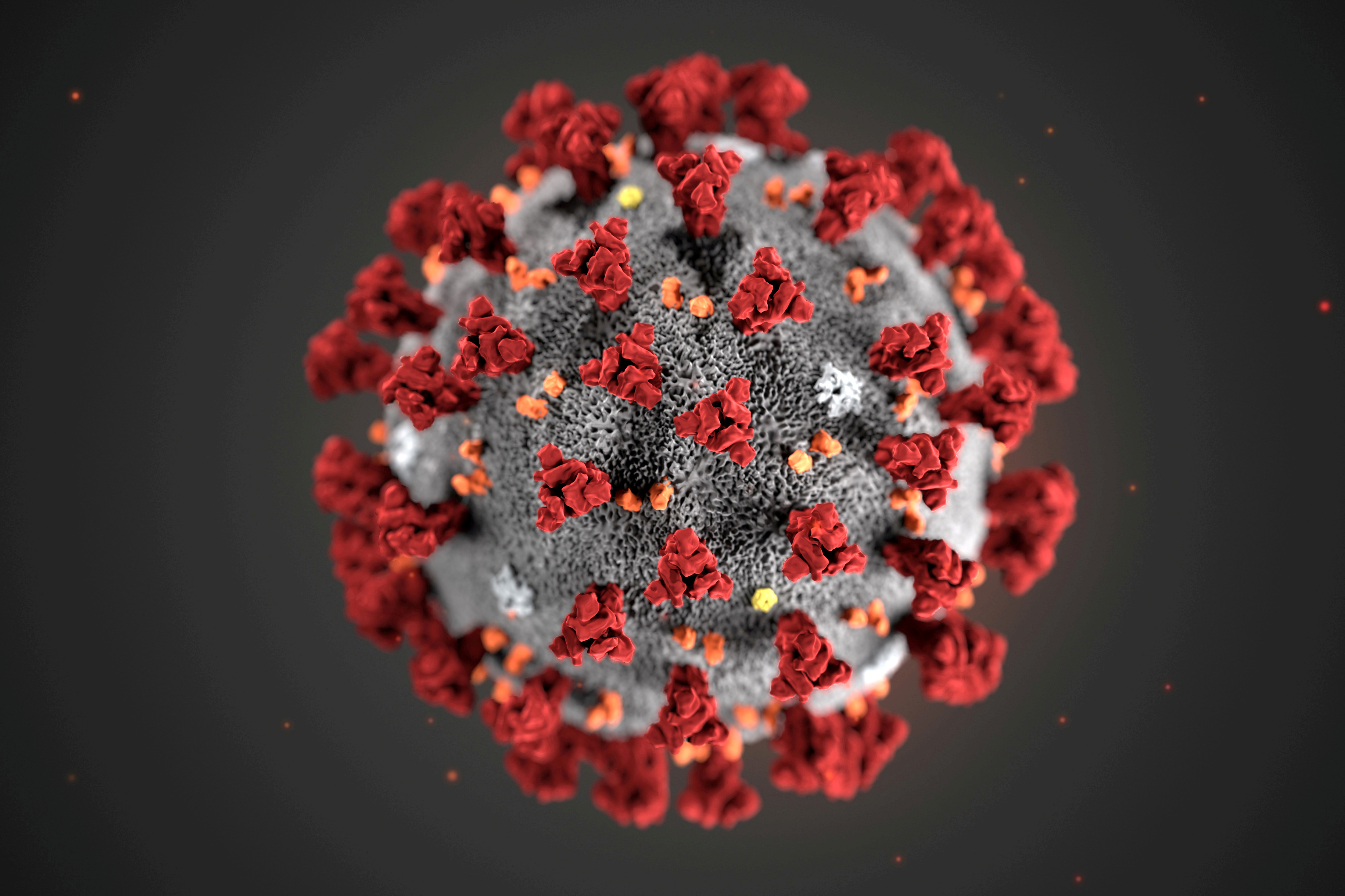 The ultrastructural morphology exhibited by the 2019 Novel Coronavirus (2019-nCoV) is seen in an illustration released by the Centers for Disease Control and Prevention (CDC) in Atlanta, Georgia, U.S. January 29, 2020. Alissa Eckert, MS; Dan Higgins, MAM/CDC/Handout via REUTERS./File Photo