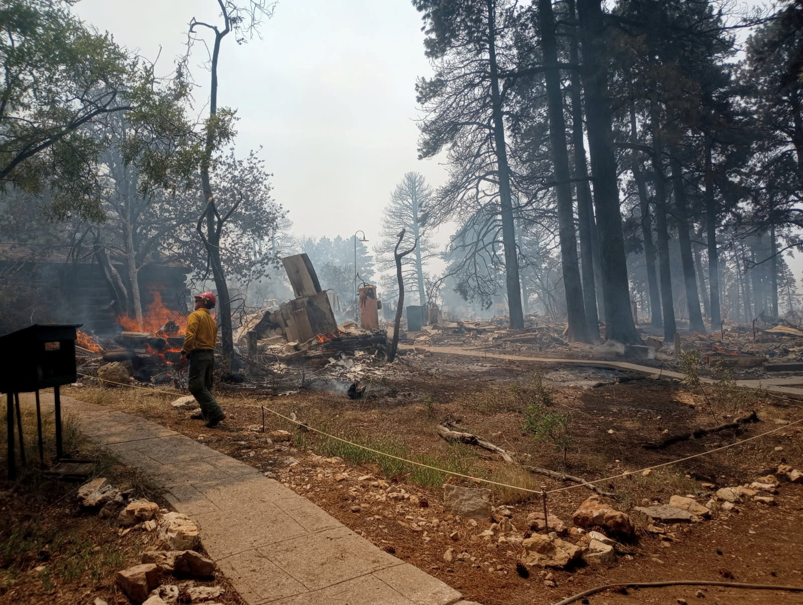 Firefighters battle Grand Canyon wildfire - July 15, 2025 | Reuters