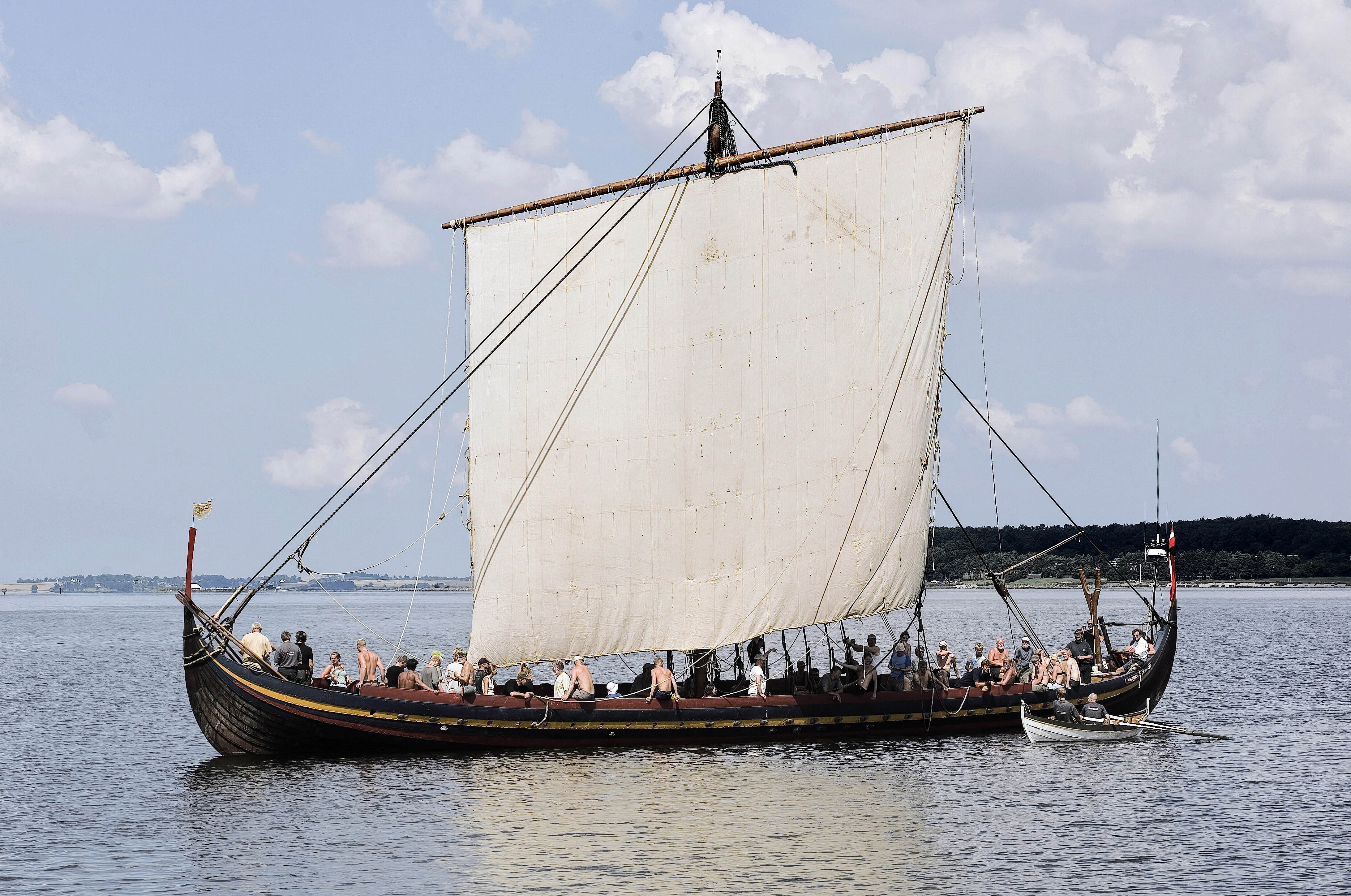 Scientists raid DNA to explore Vikings' genetic roots