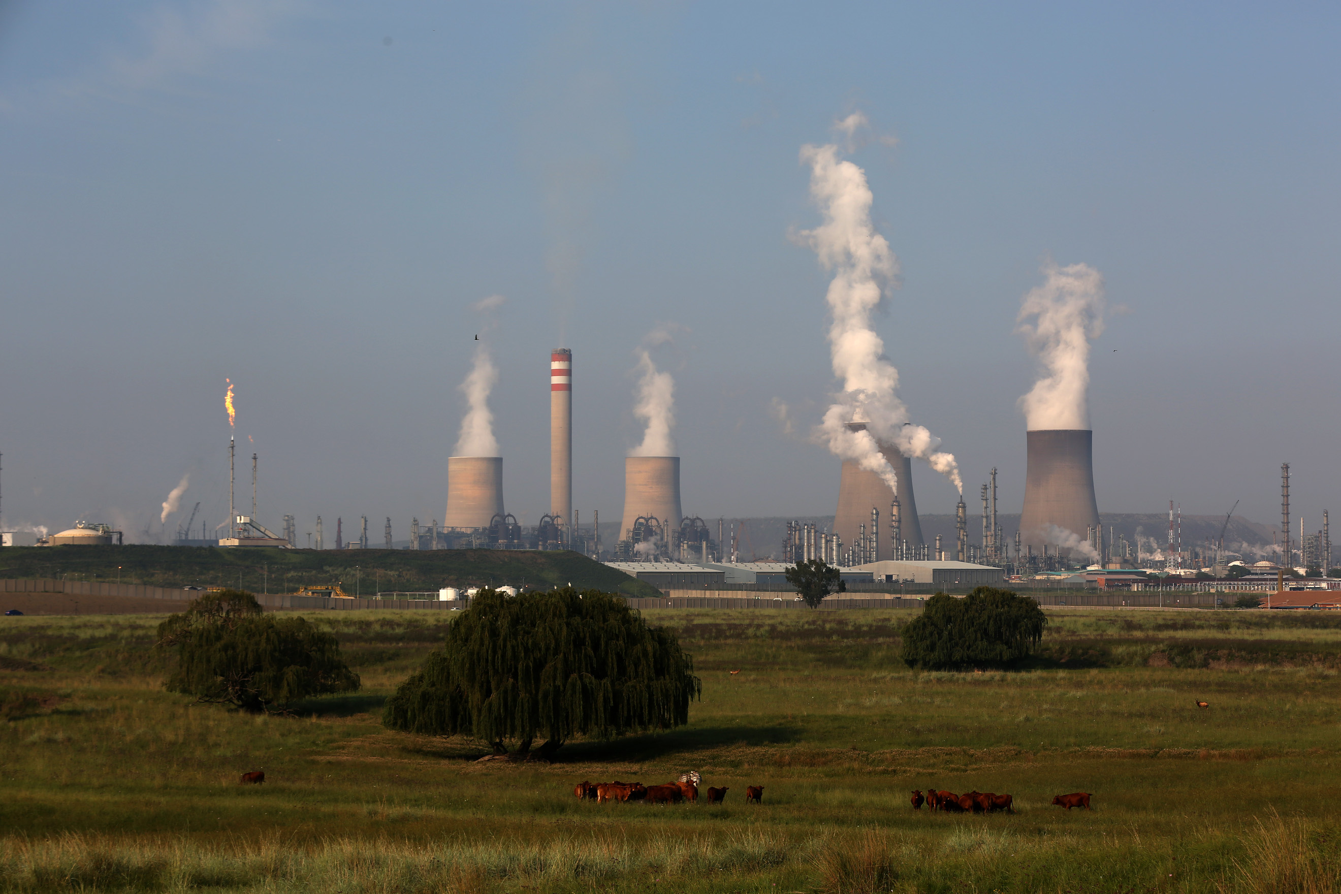 Cooling towers of South African petro-chemical company Sasol's synthetic fuel plant in Secunda