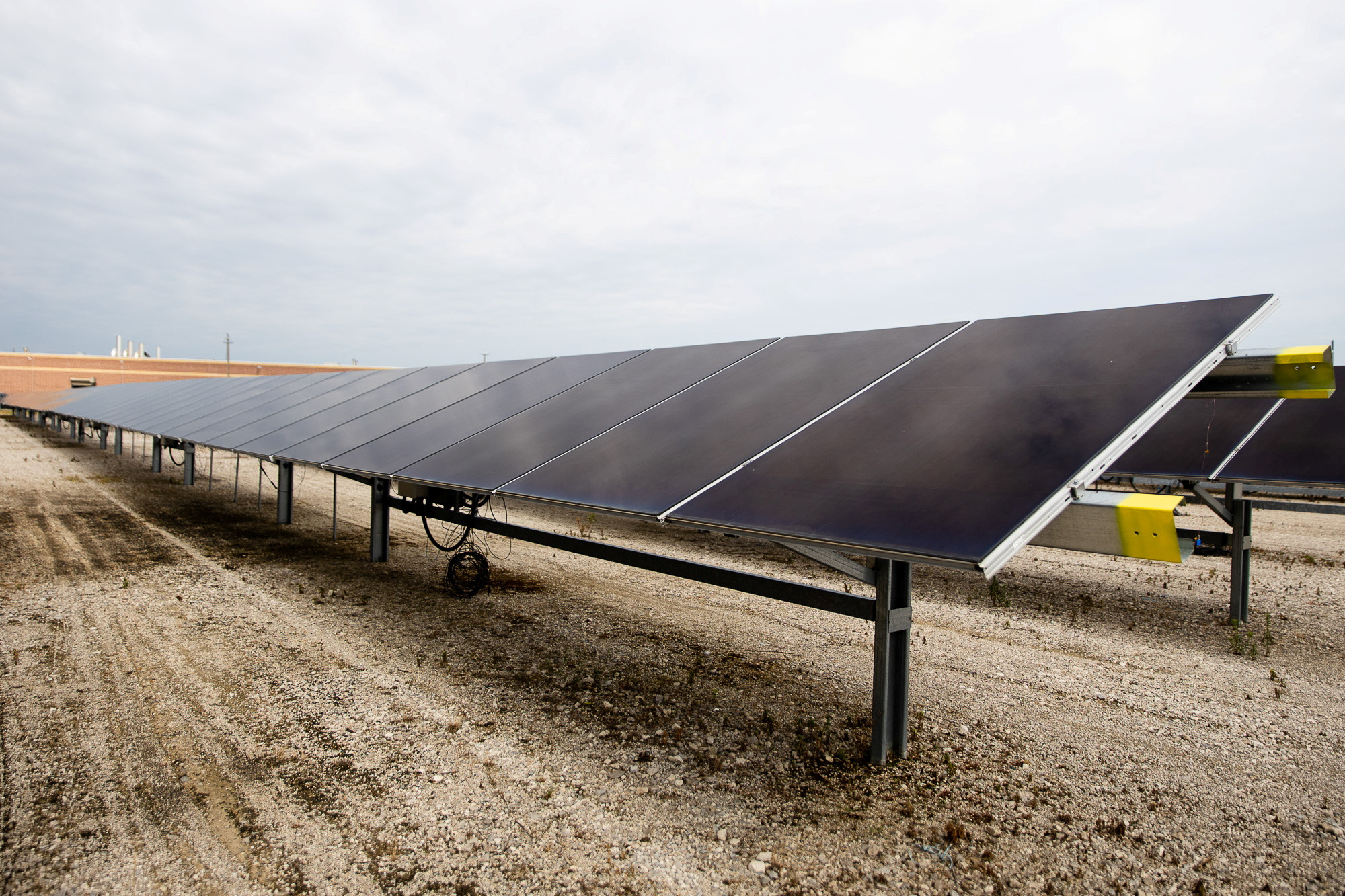 First Solar, Qcells to be US government's preferred green-label panel ...