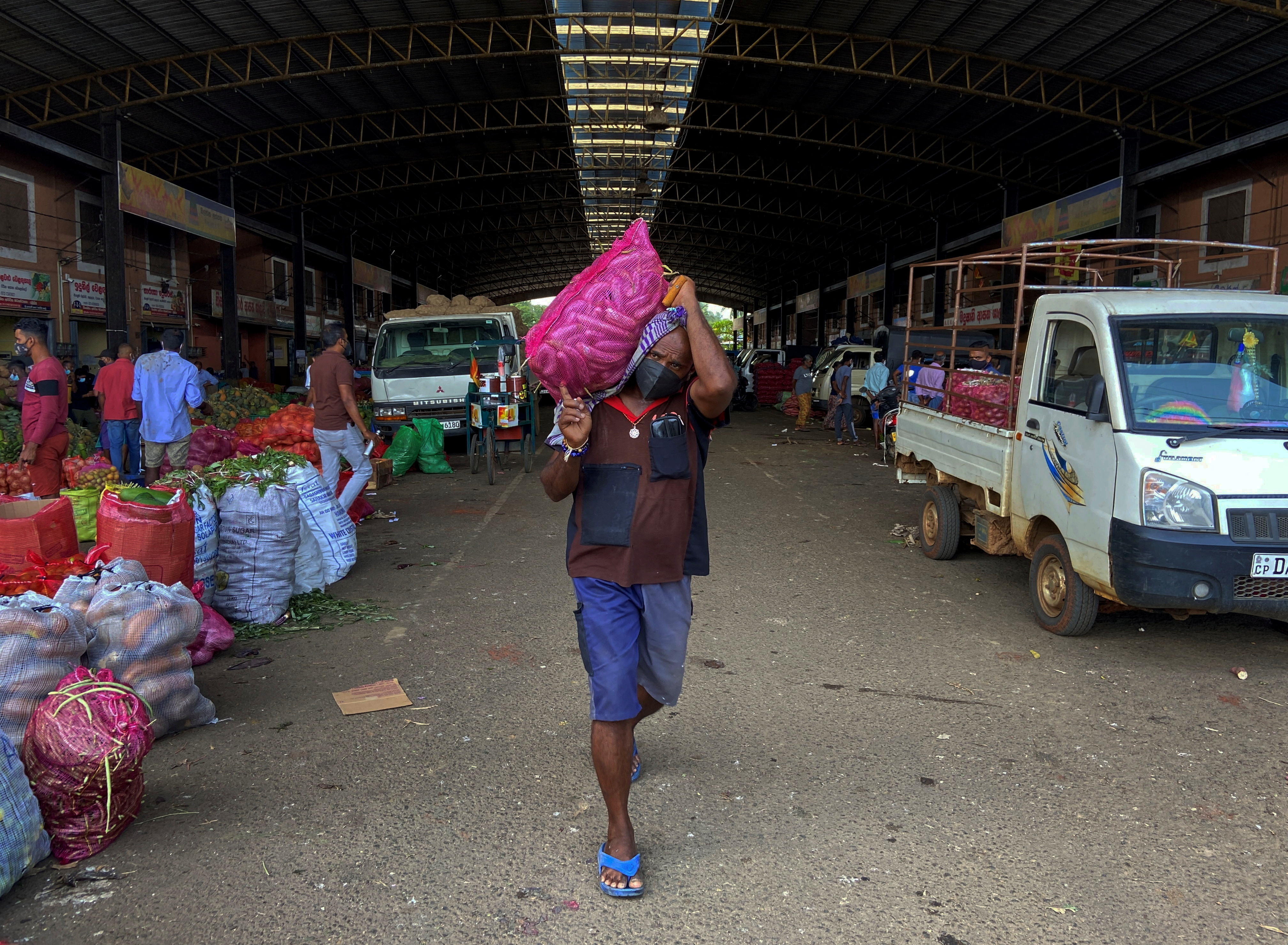 Sri Lankan farmers reel from fertiliser ban, as government support ebbs