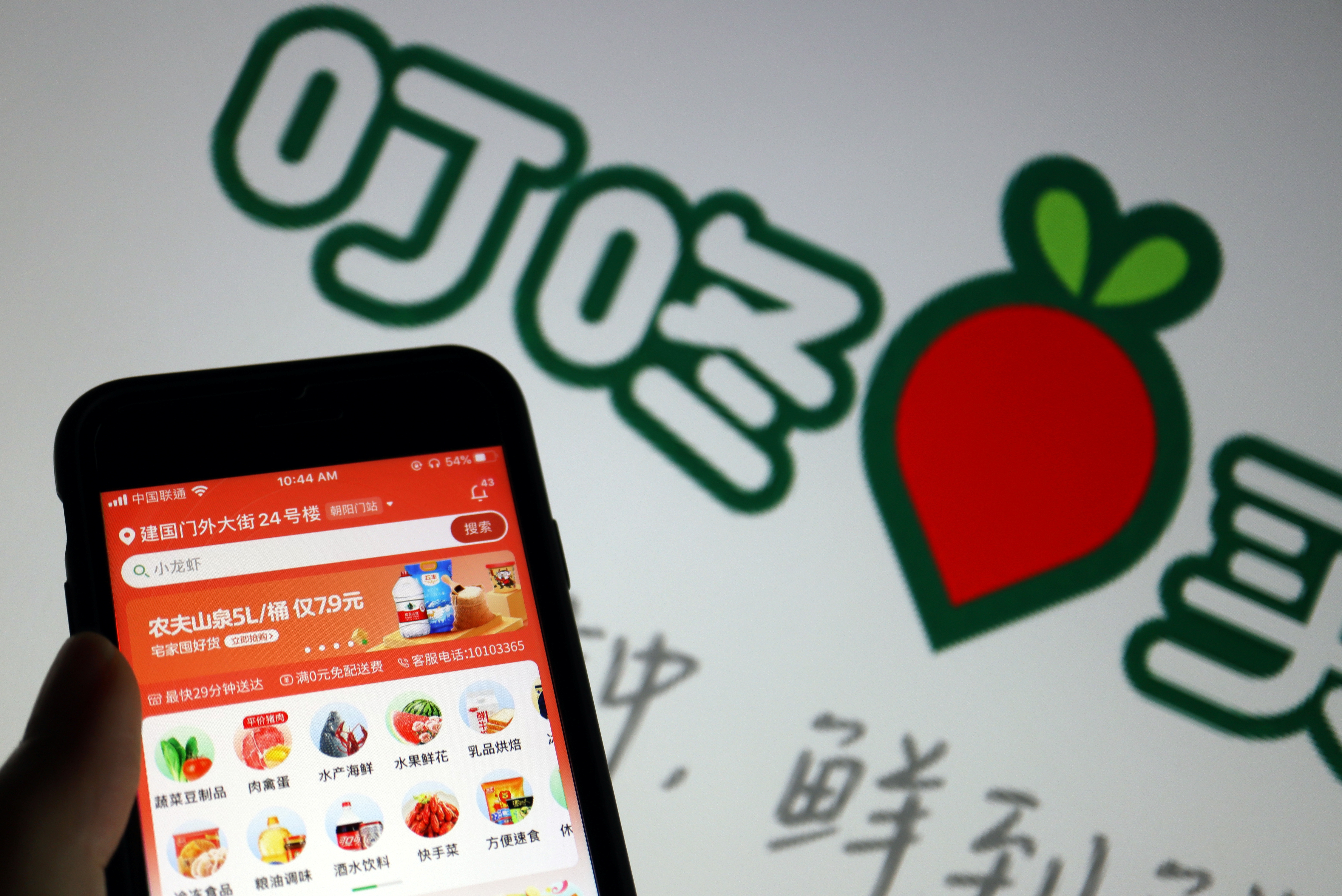 Illustration picture of Chinese grocery app Dingdong