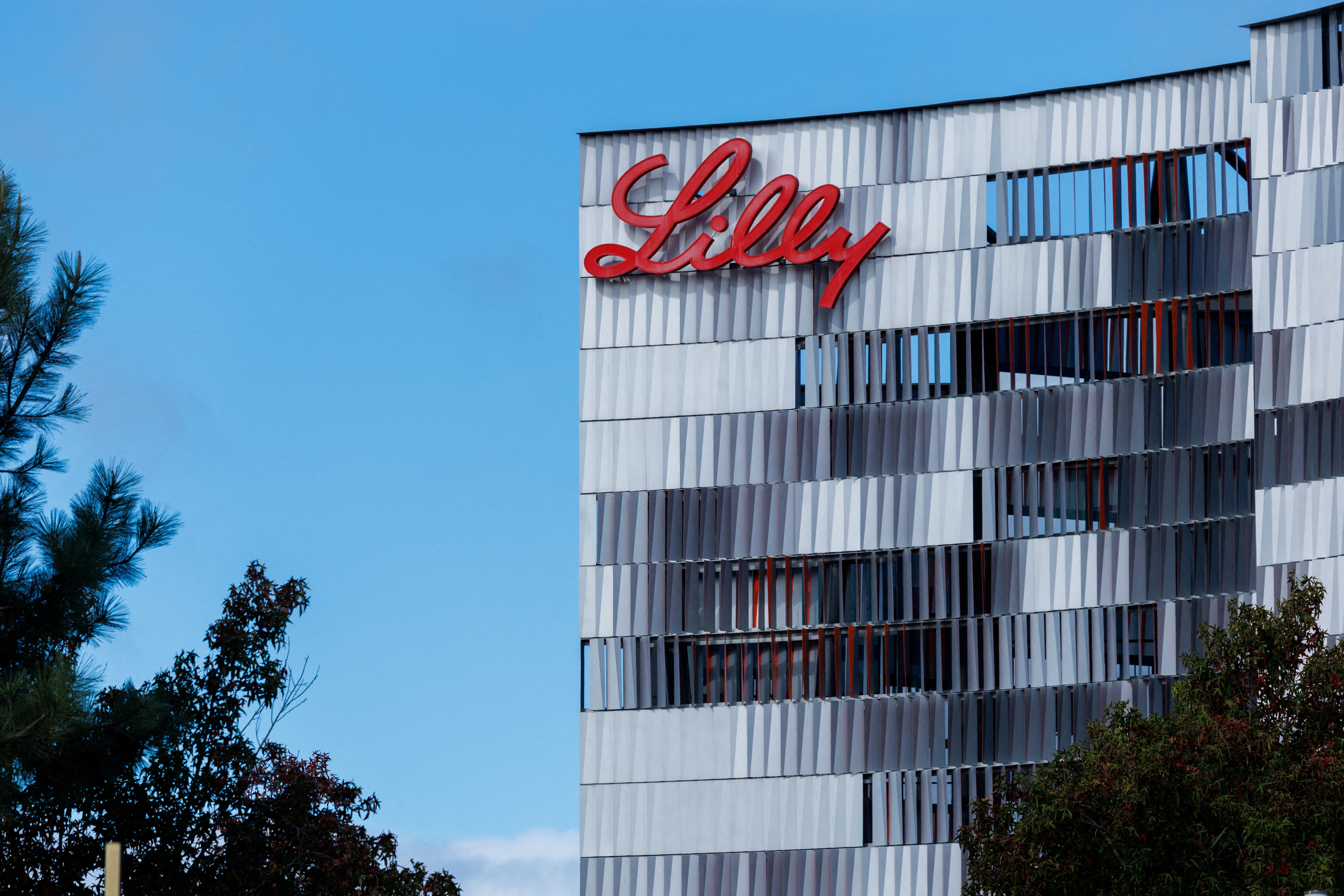 eli lilly's tirzepatide is the leader in weight loss sector Ozempic maker Novo Nordisk sues US rival over 'materially misleading' ads | Pharmaceuticals industry Eli Lilly's Weight-Loss, Diabetes Drug