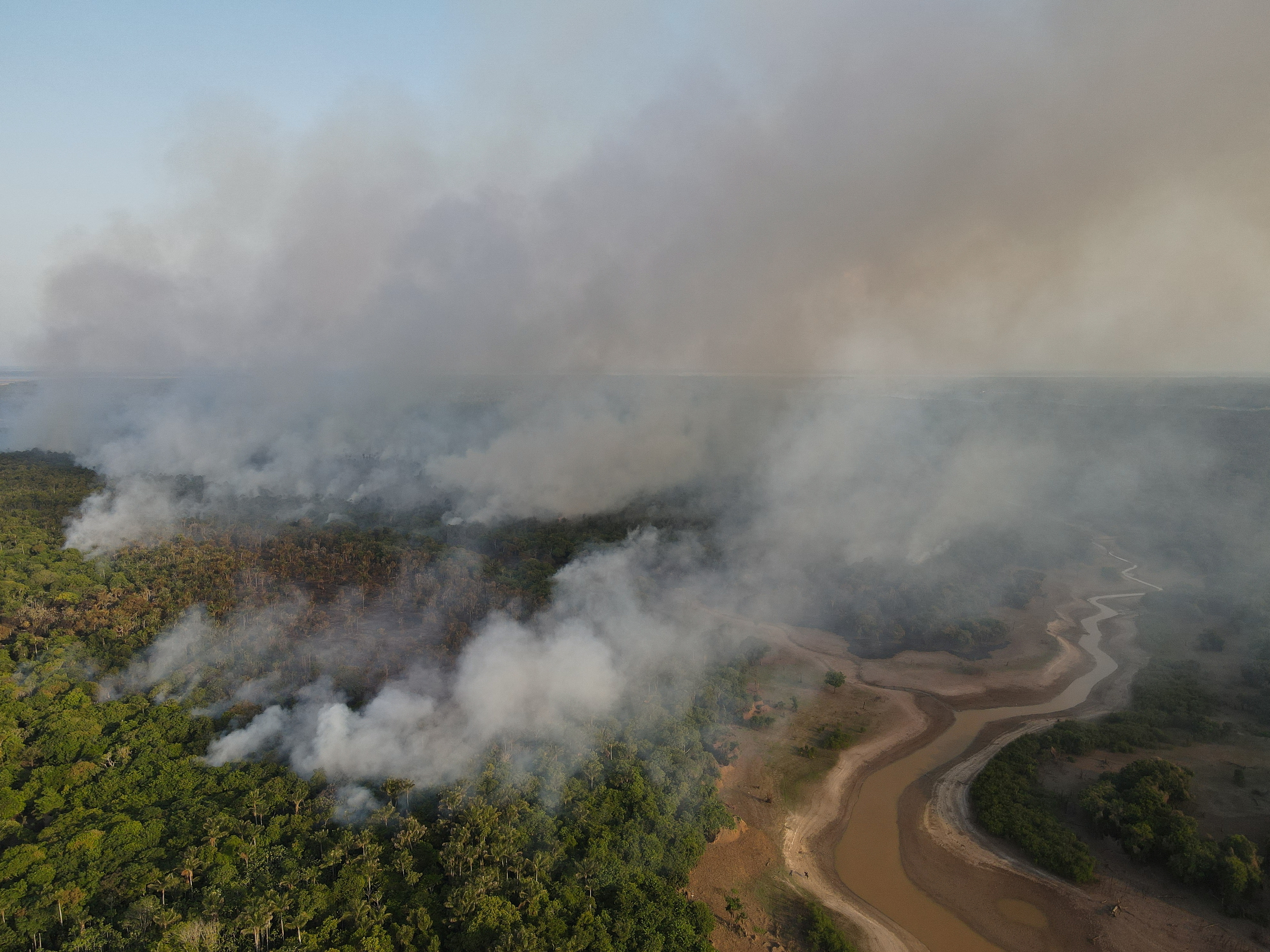 Brazil launches $204 million drive to restore  rainforest