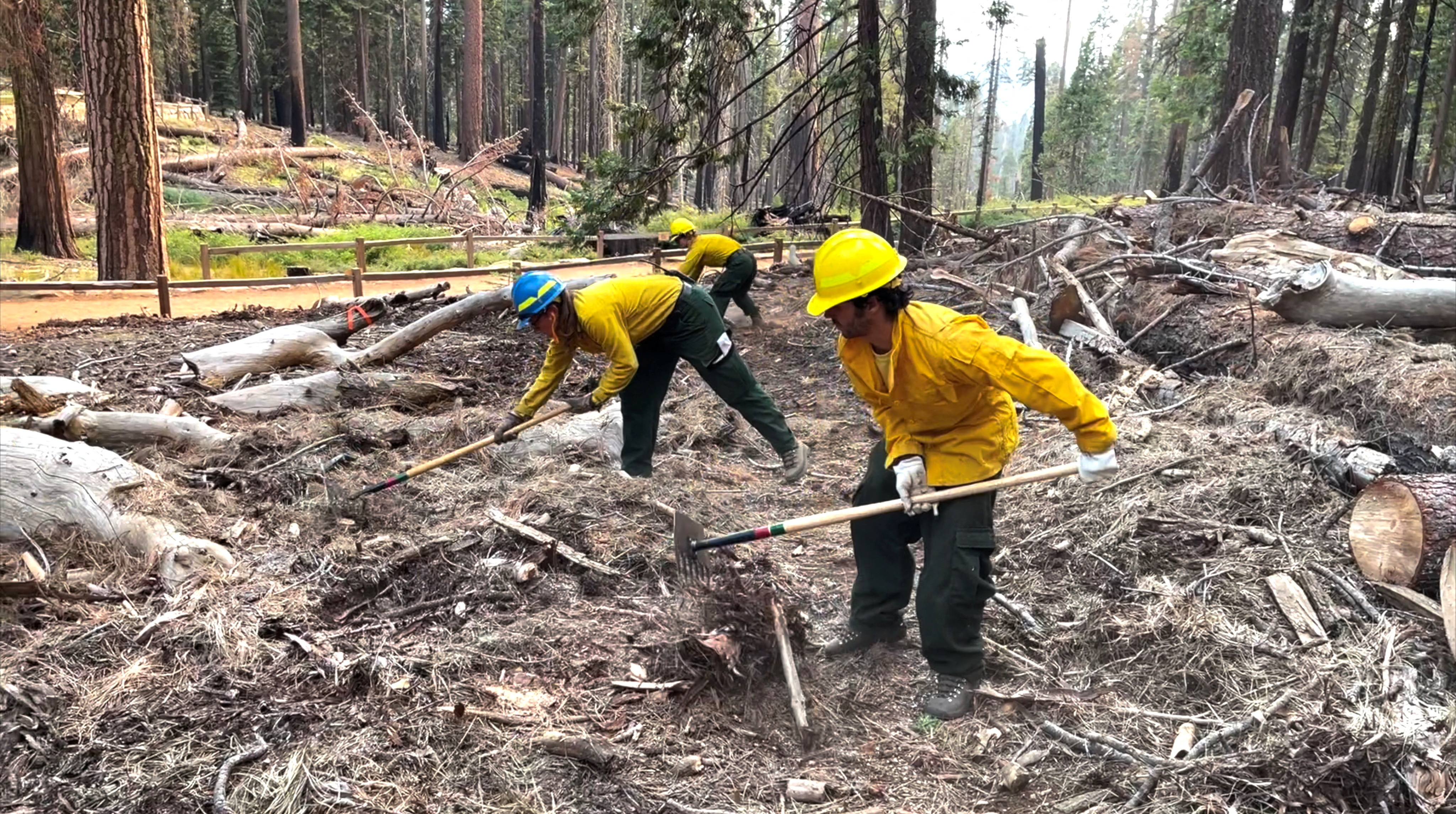 Workers prepare the area to protect it, as Washburn Fire continues to burn in the area, in Yosemite National Park's Mariposa Grove