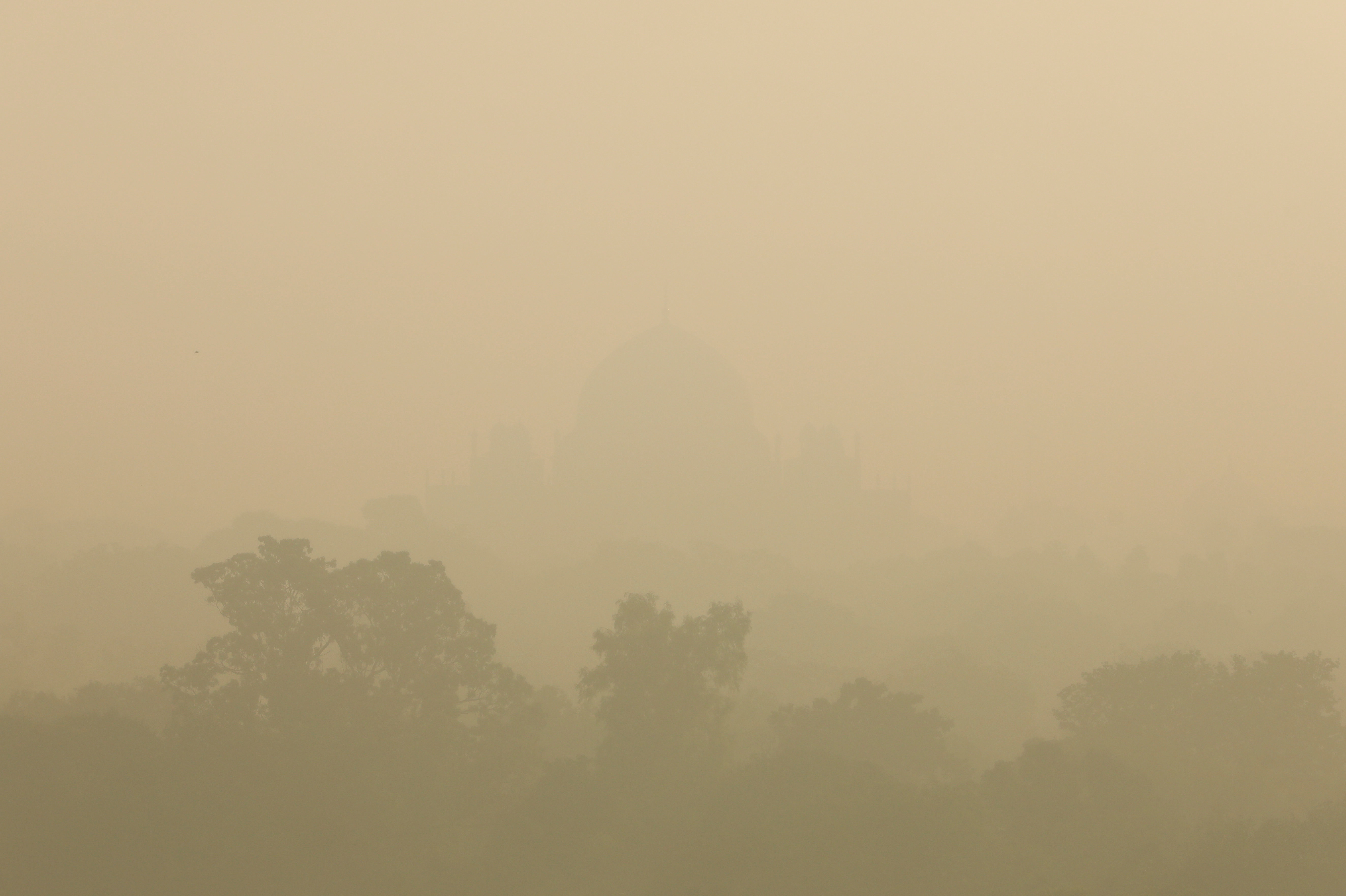 Humayun's Tomb is seen shrouded in smog in New Delhi