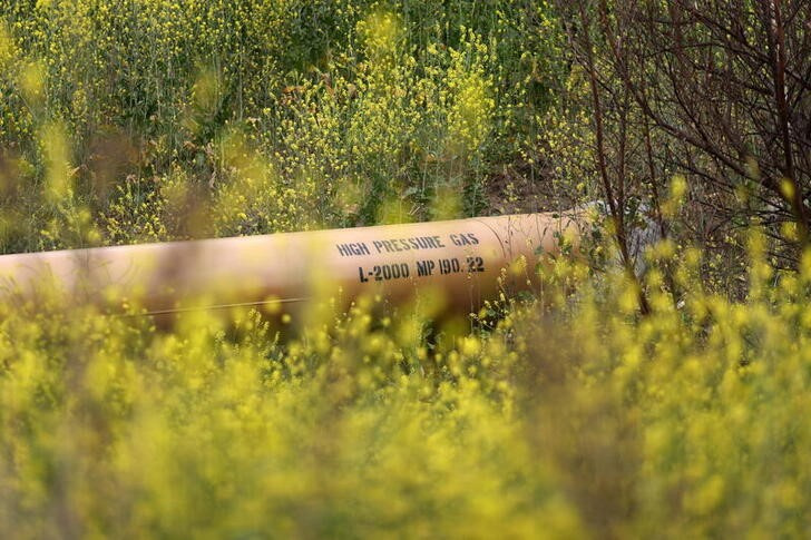 A natural gas pipeline runs through ustard plants in the burn zone of Chino Hills State Park, as the coronavirus disease (COVID-19) pandemic continues, in Chino Hills