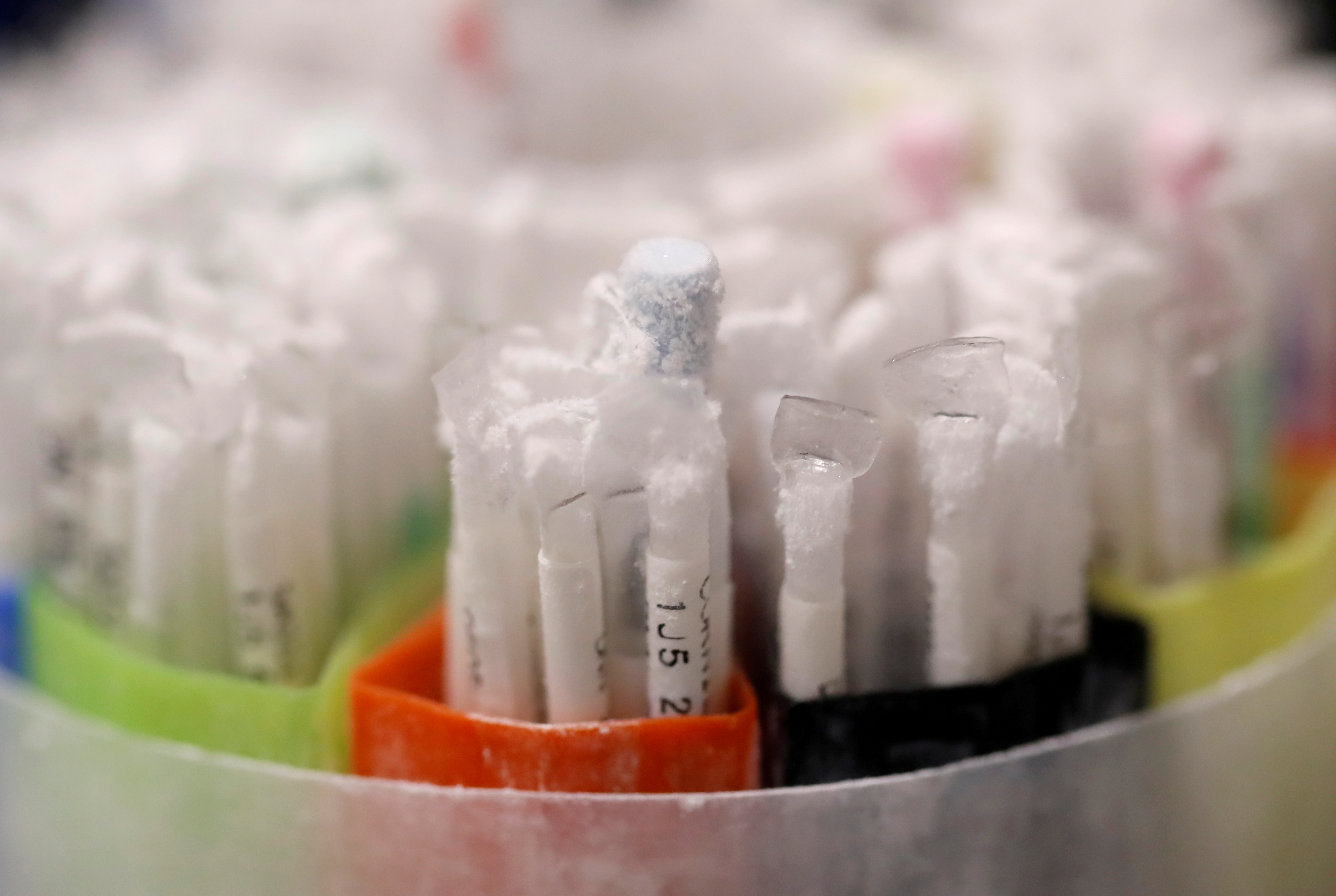 Frozen vials of sperm are seen preserved in an azote cooled container in a laboratory in Paris