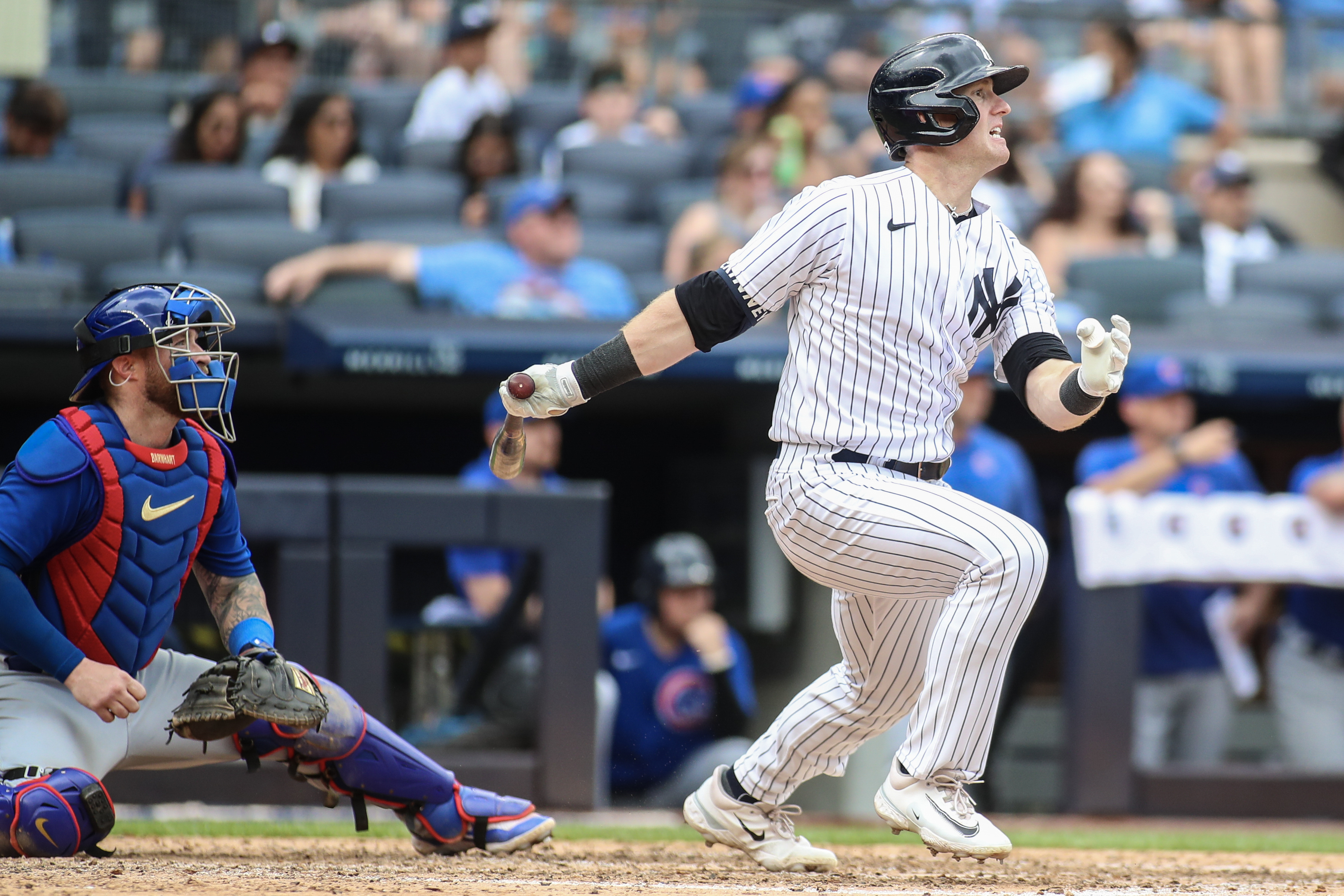 Are the Yankees in on Seiya Suzuki? - Unhinged New York