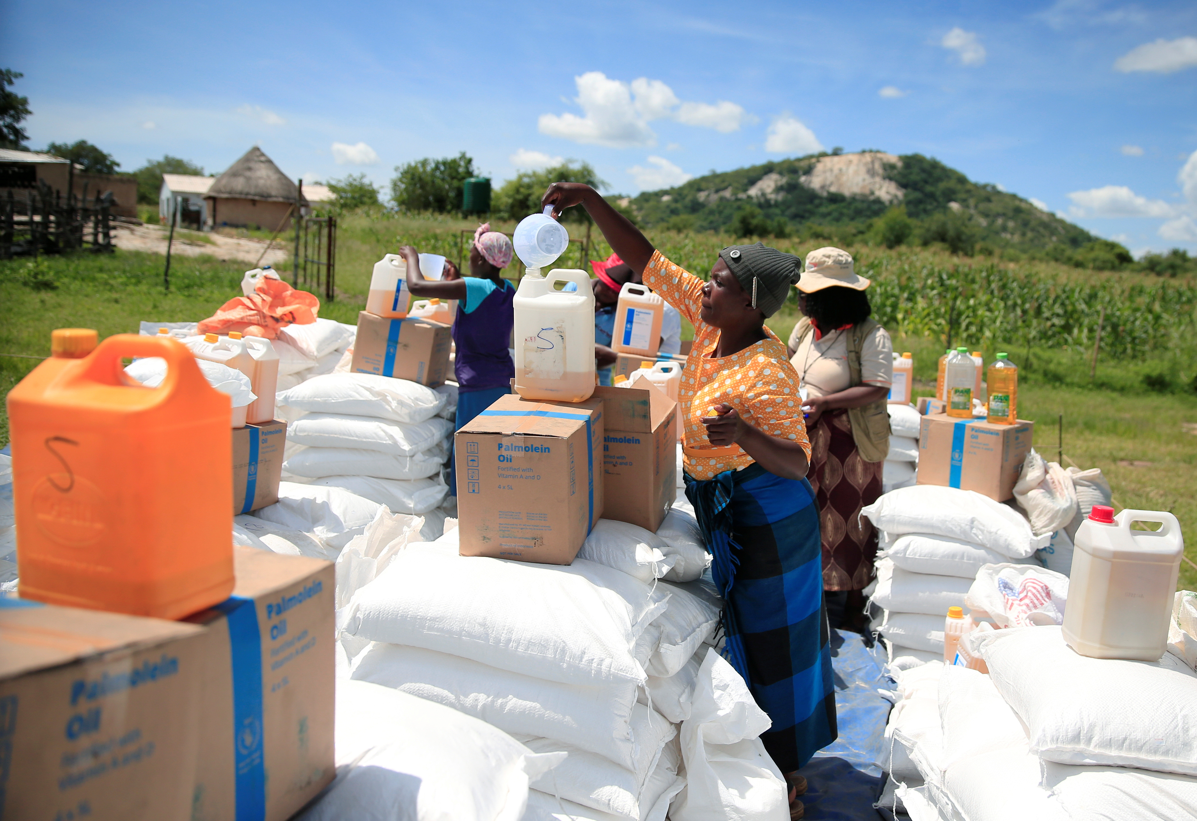 WFP plans food relief for 700,000 Zimbabweans | Reuters