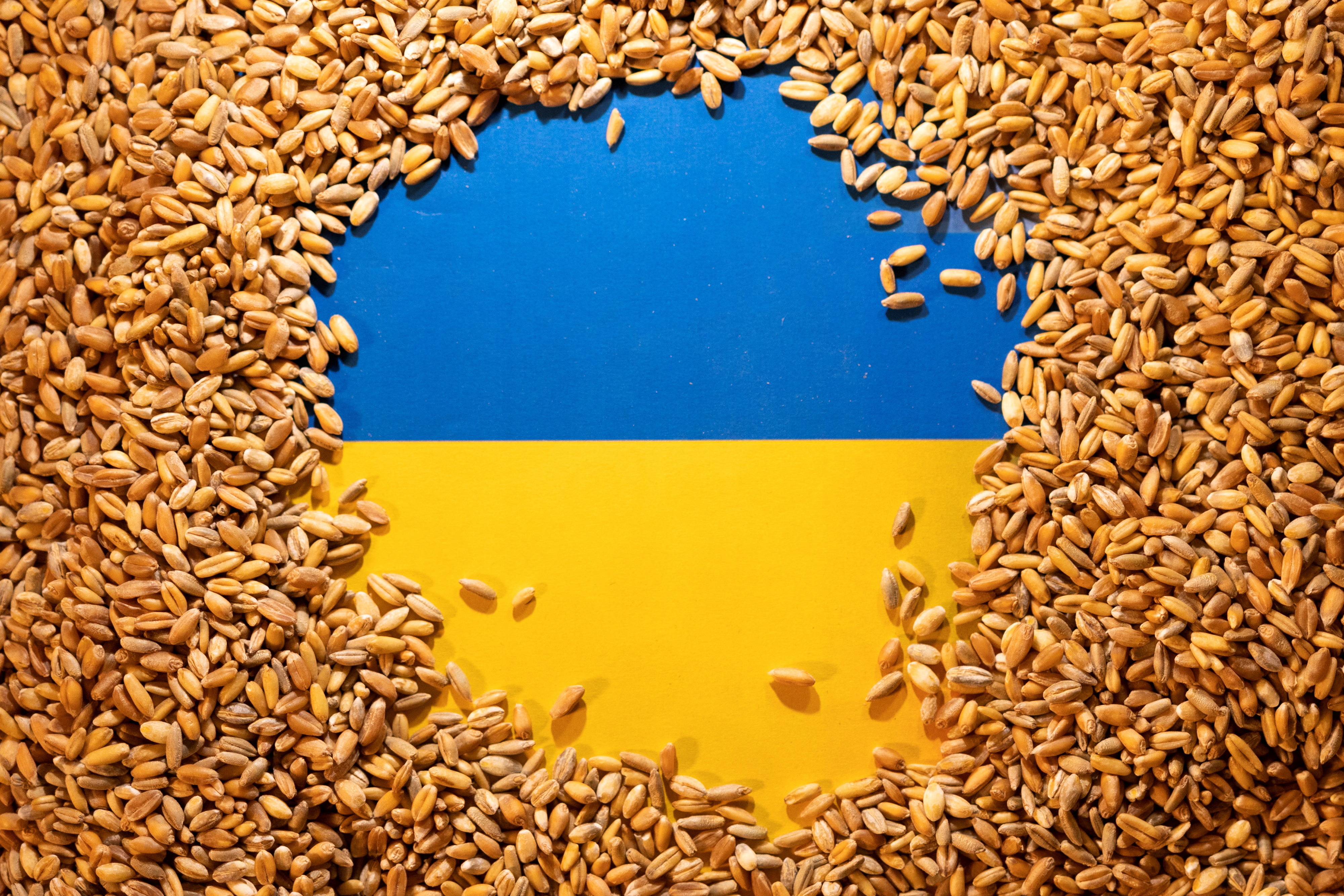 La ilustración muestra la bandera y el grano de Ucrania.