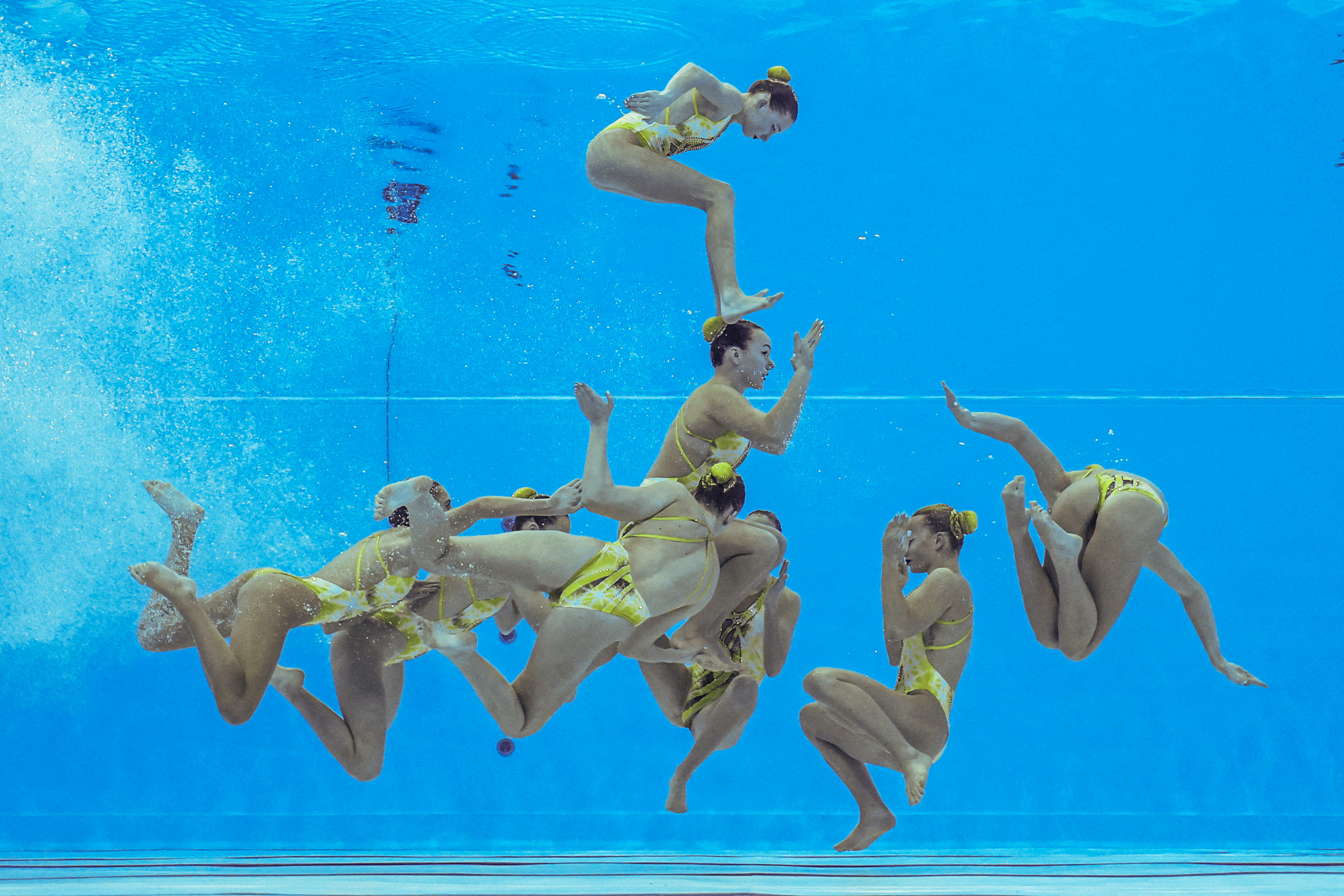 Our best photos from the World Aquatics Championships - February 15, 2024 |  Reuters