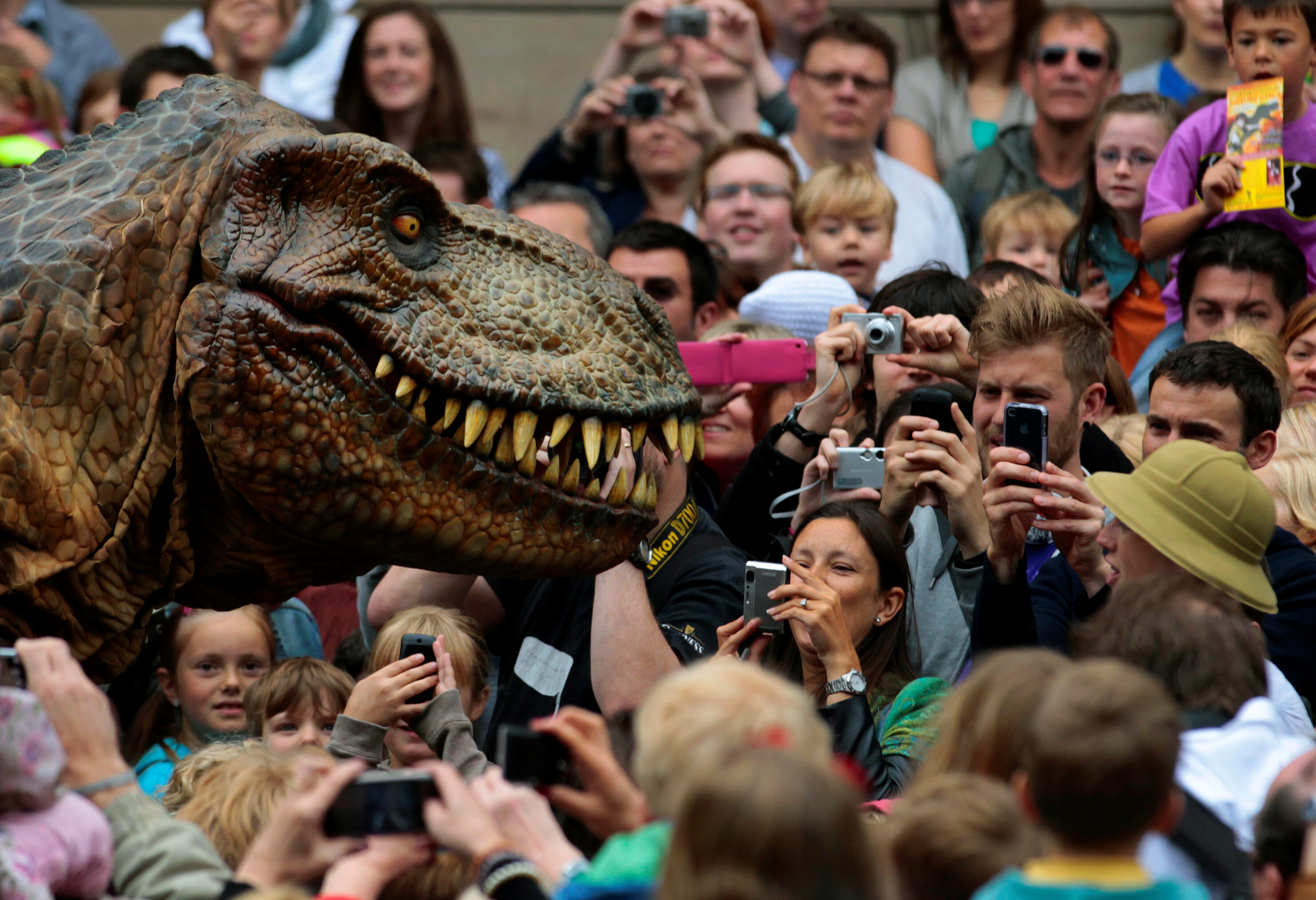 Like Godzilla, but actually real': study shows T. rex numbered 2.5 billion