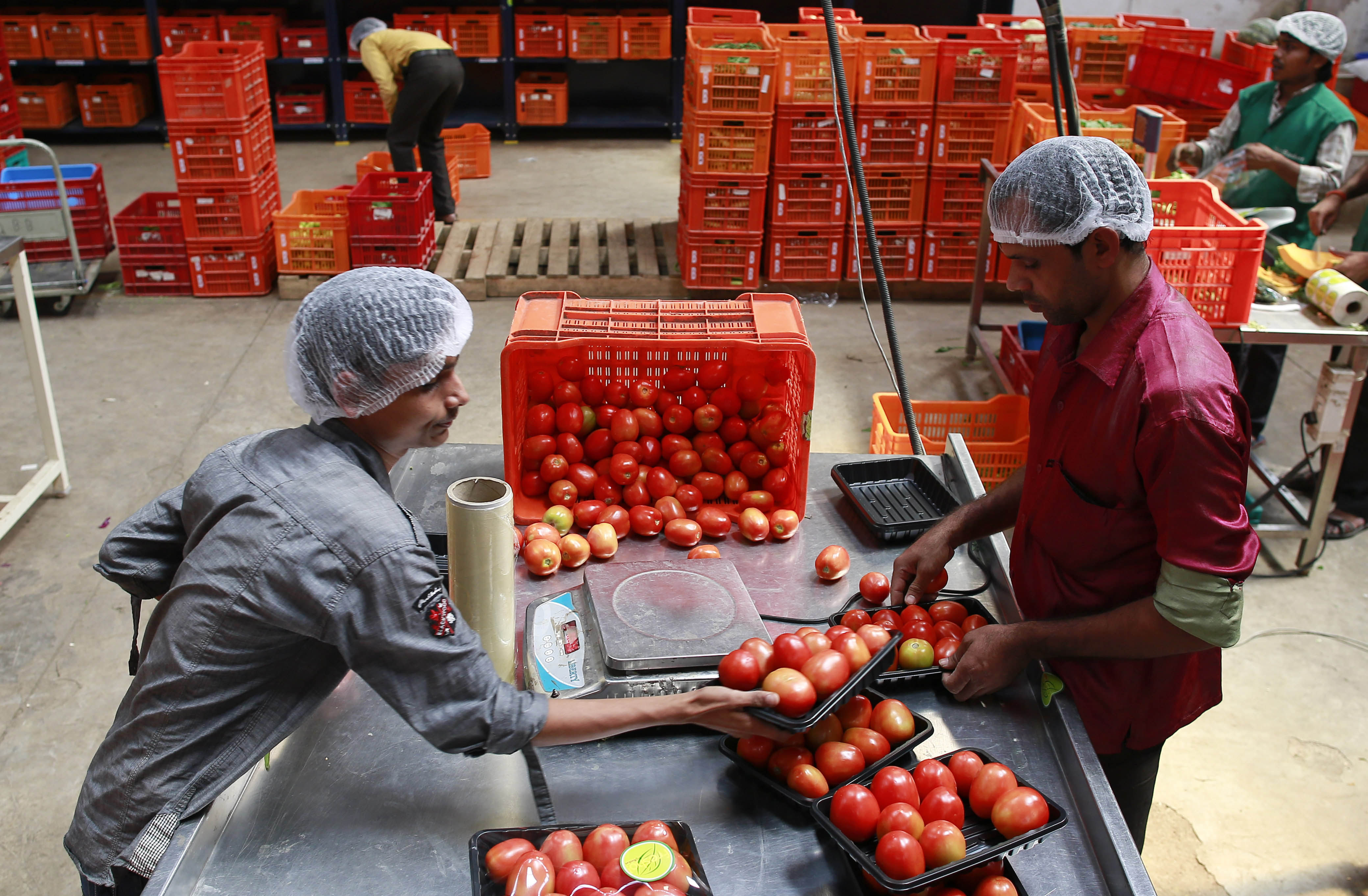 Employees arrange tomatoes before weighing them at a Big Basket warehouse on the outskirts of Mumbai