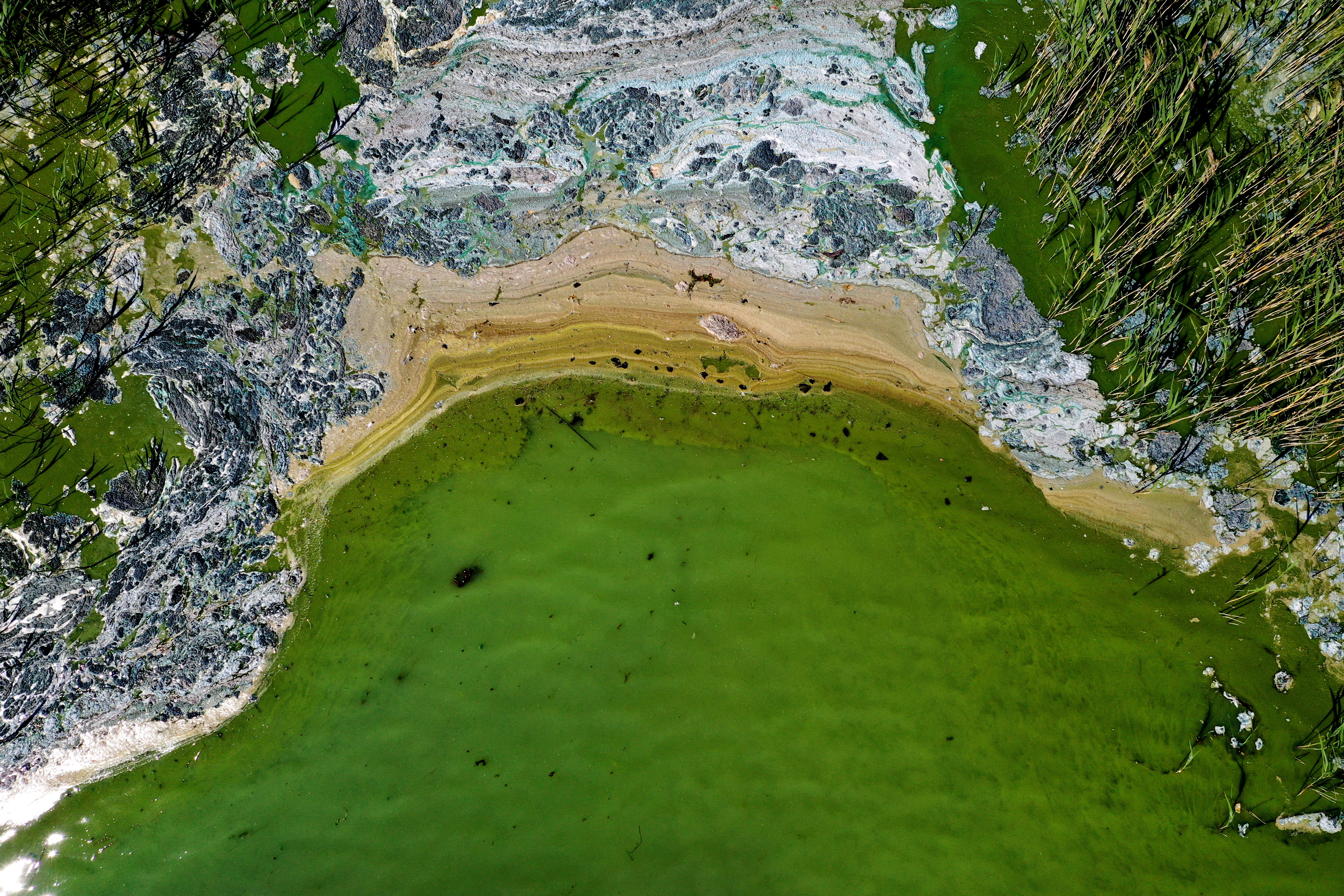 An aerial view of toxic blue-green algae bloom on the Baltic Sea coast at Tyreso near Stockholm
