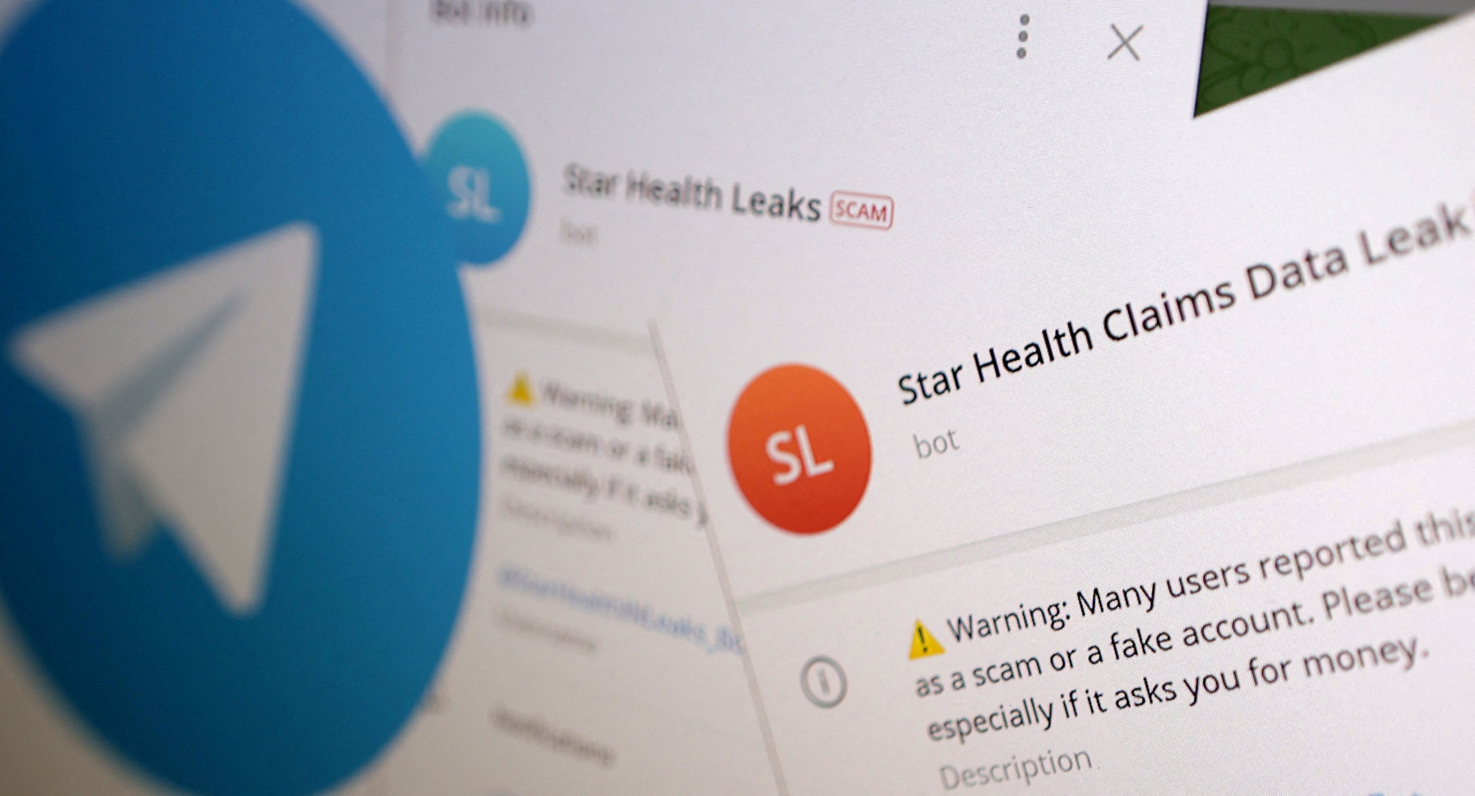 Unmasking Vietbunny: The Telegram Leak'S Impact - kmvtazh