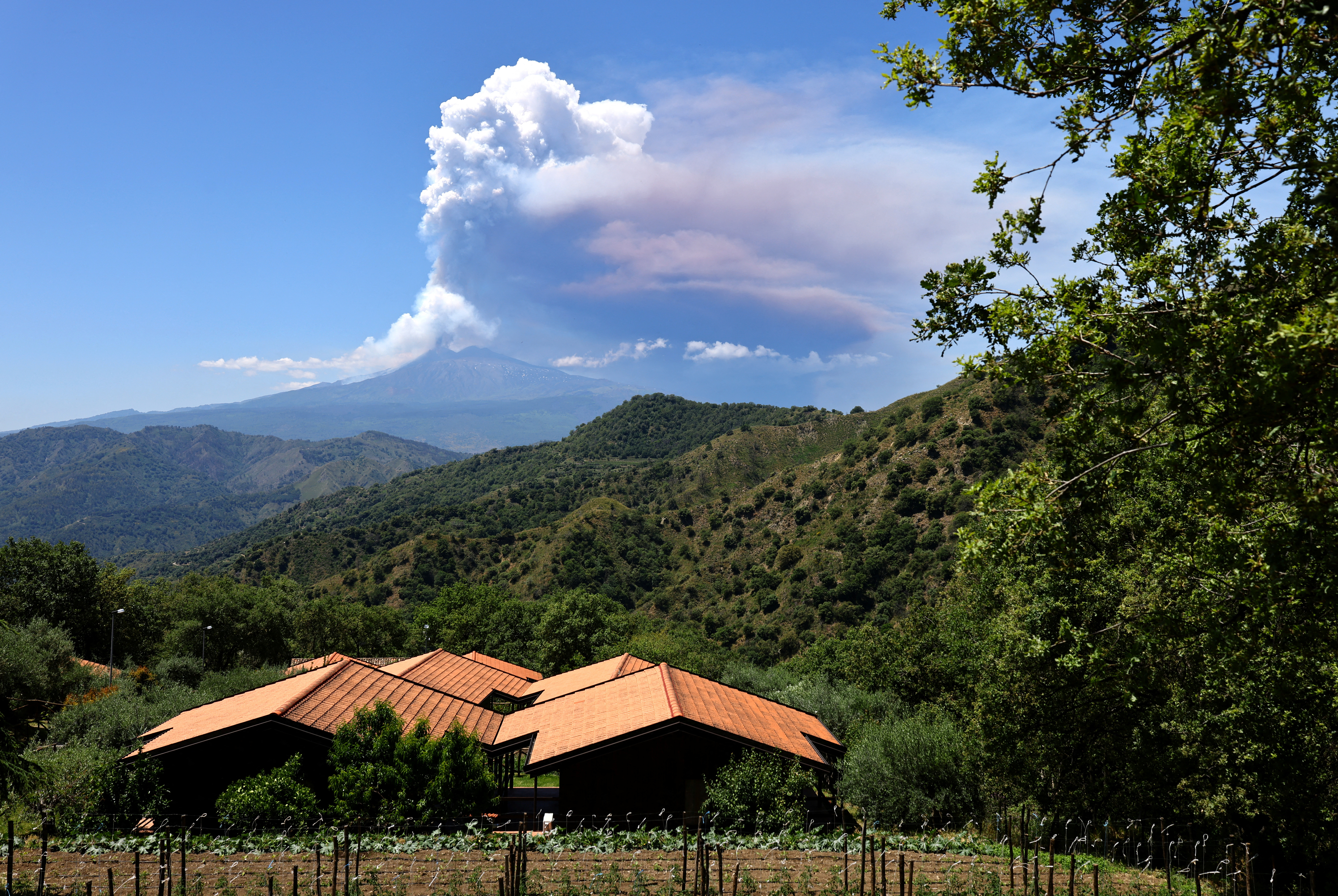 Dense columns of volcanic steam erupt from Sicily's Mount Etna
