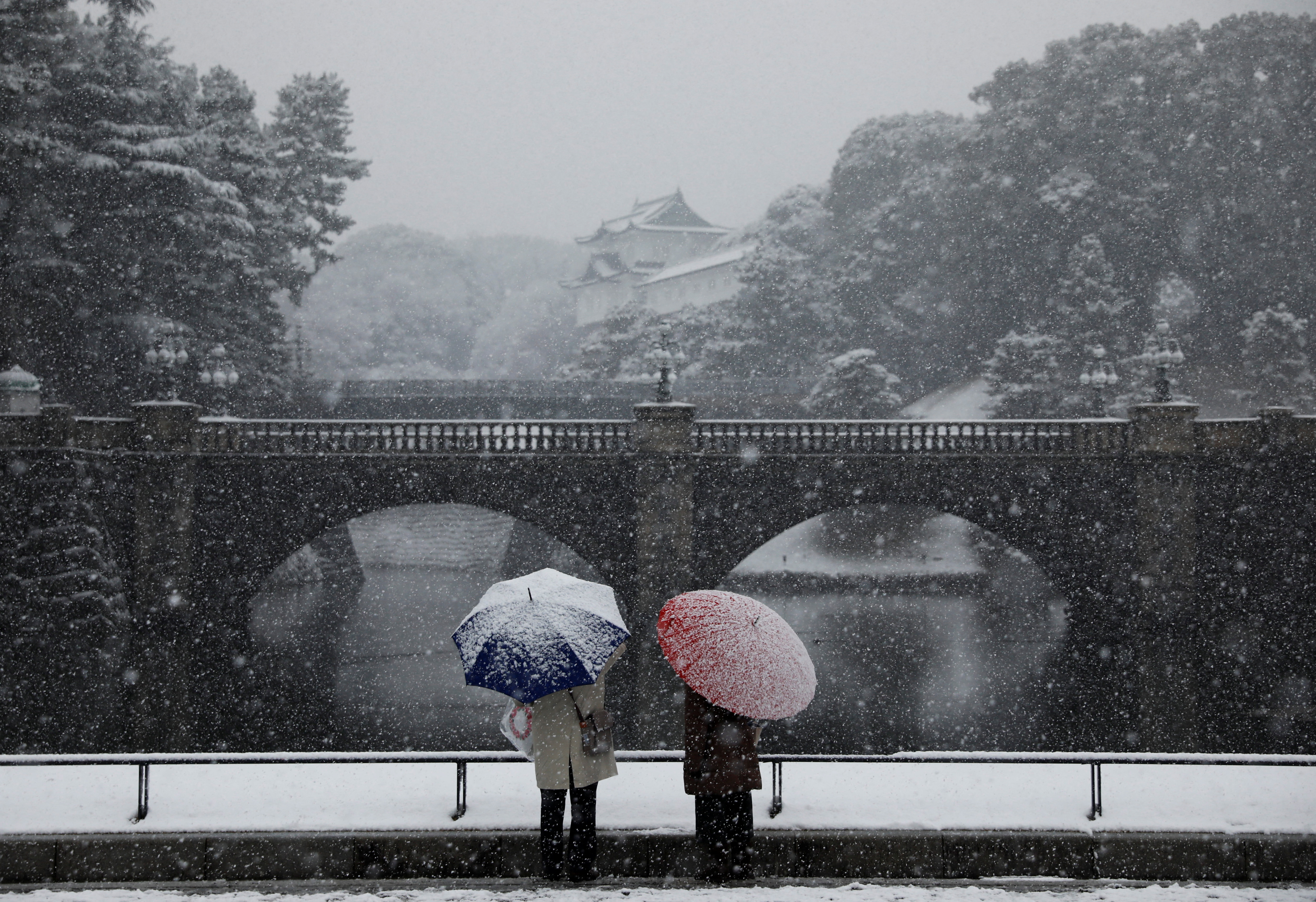 Weatherwatch: Tokyo experiences rare late-March snowfall