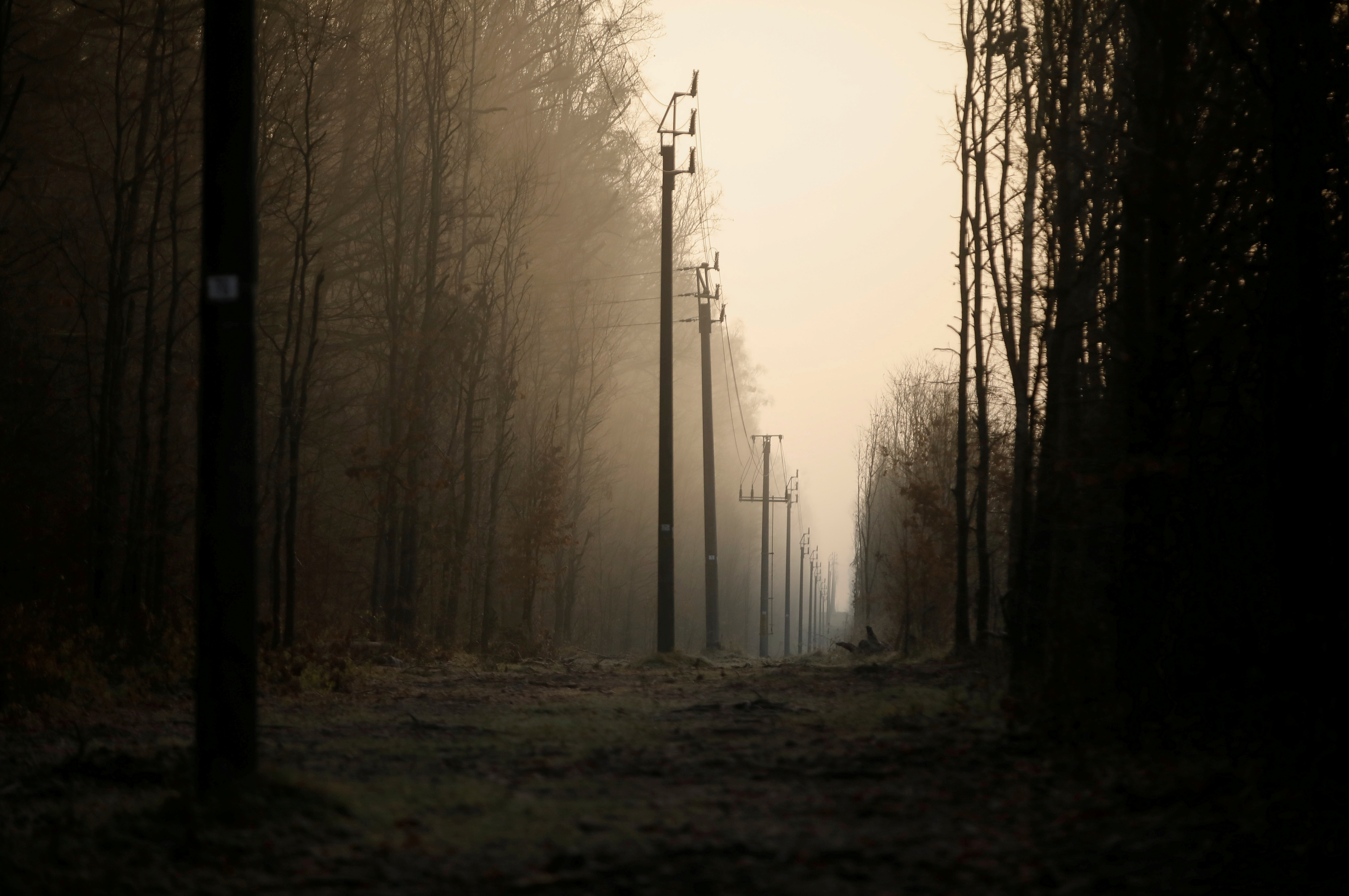 Electric poles are seen in the morning near the road connecting the border village of Bialowieza to Hajnowka during the migrant crisis on the Belarusian-Polish border near Hajnowka, Poland, November 11, 2021. REUTERS / Kacper Pempel
