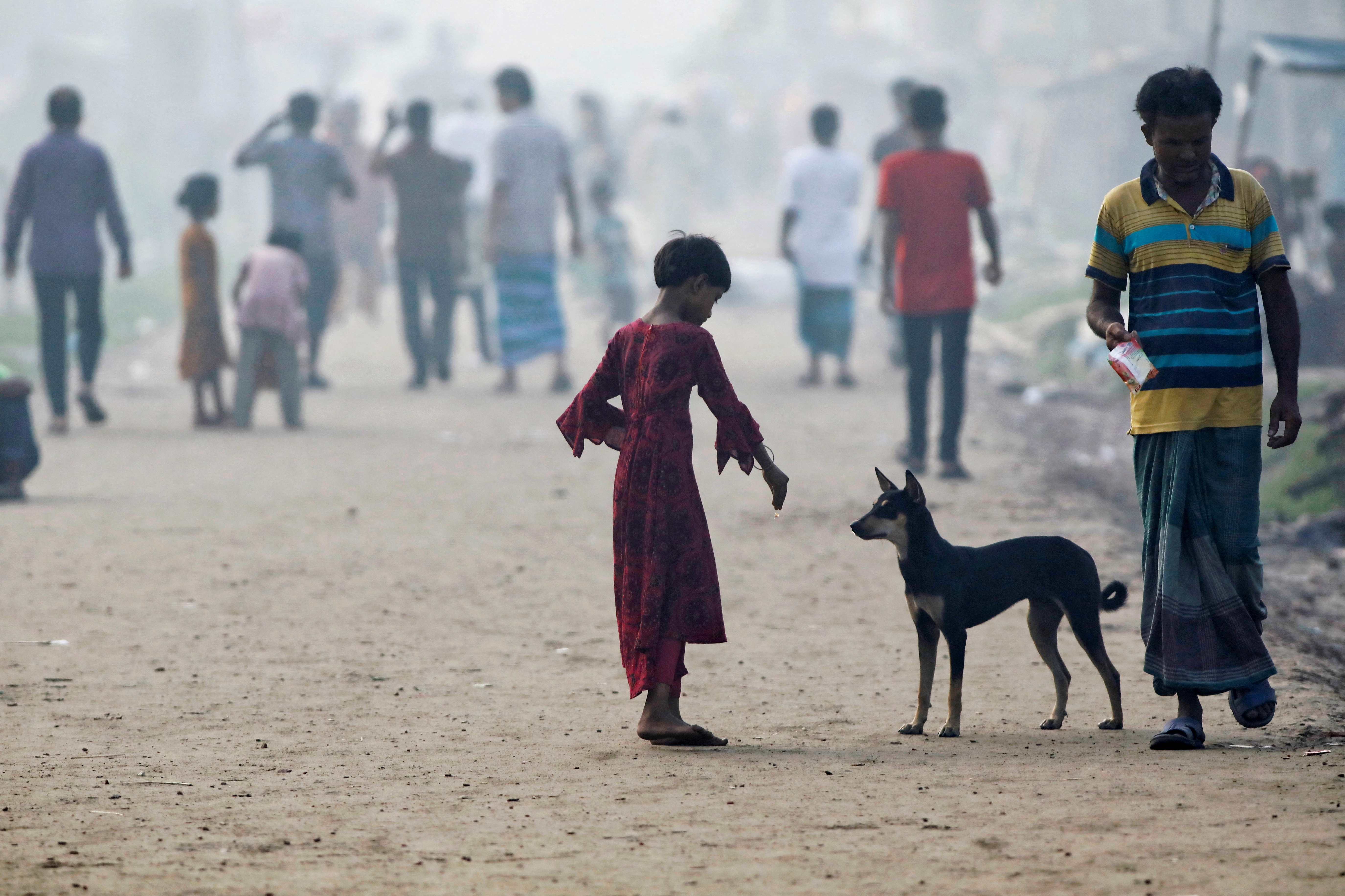 A girl feeds a dog beside an industrial area in Dhaka
