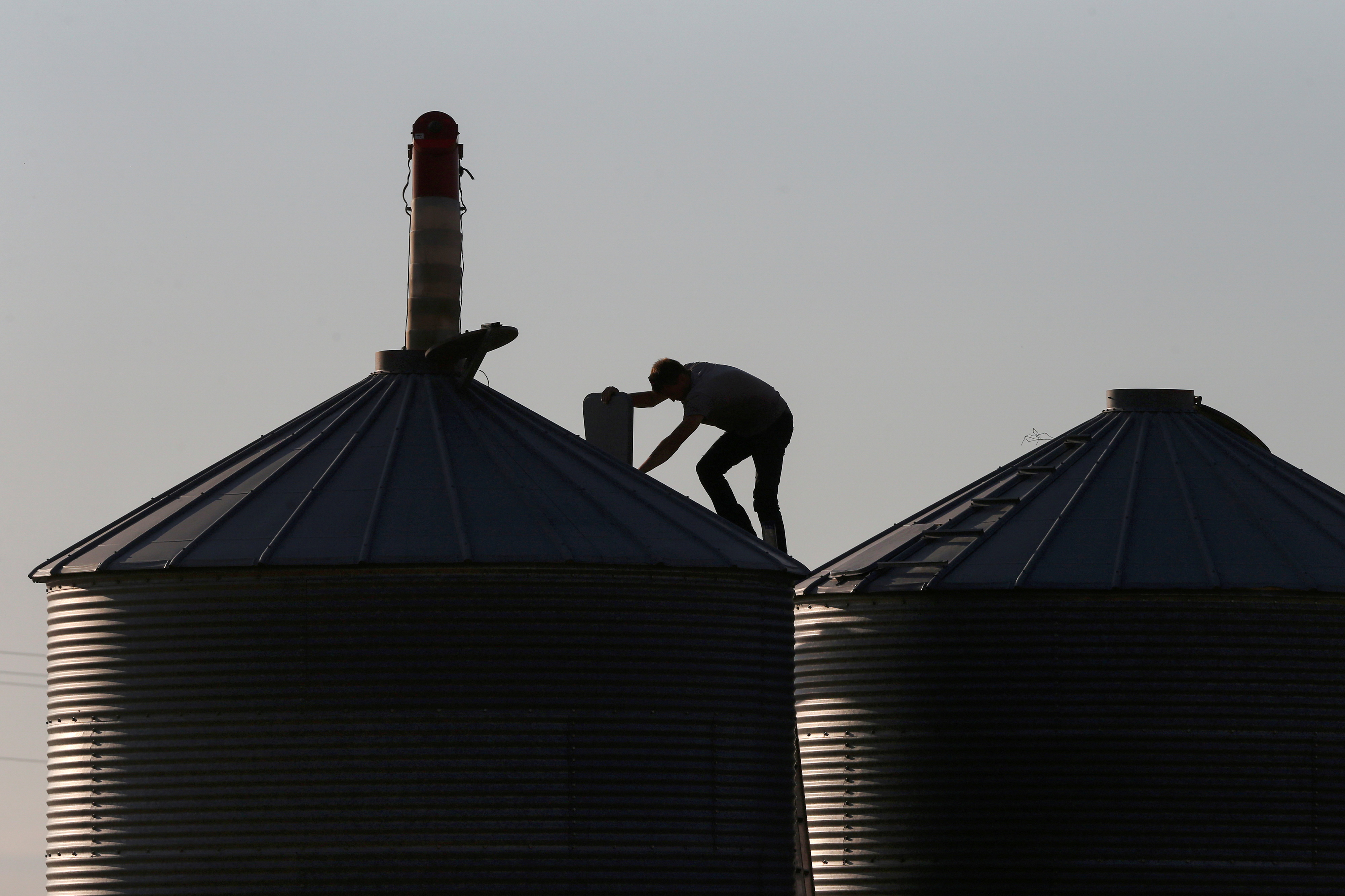 A man checks on a grain bin while harvesting on a farm near Beausejour, Manitoba, Canada August 20, 2020.  REUTERS/Shannon VanRaes