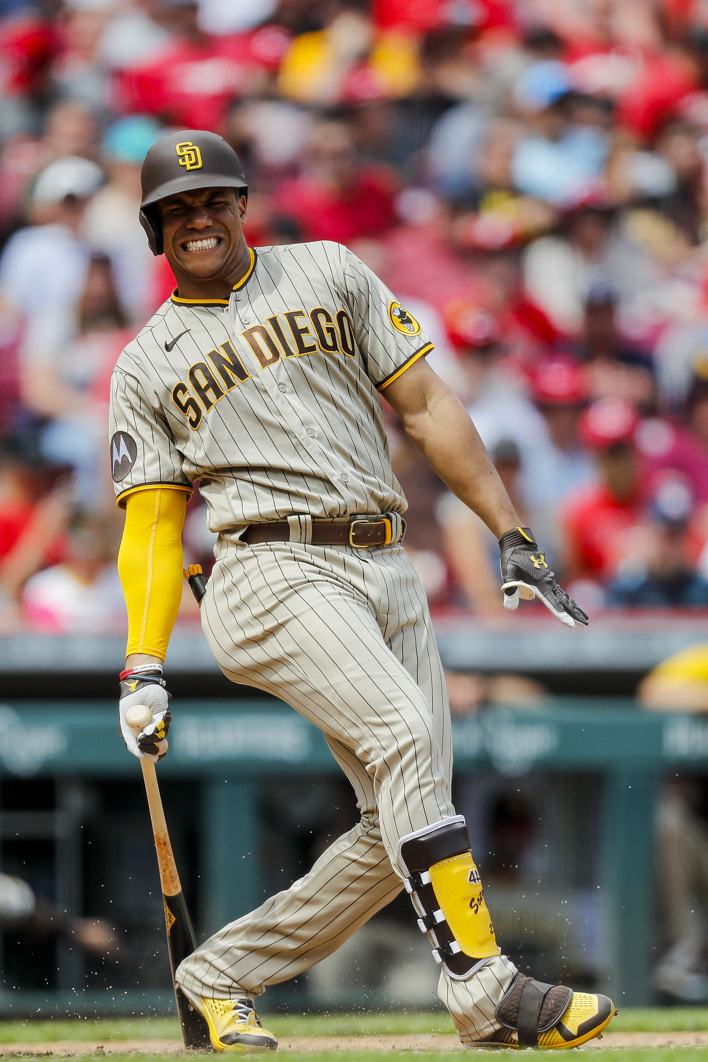 Download Fernando Tatis Jr slams a solo home run during a San Diego Padres  game. Wallpaper