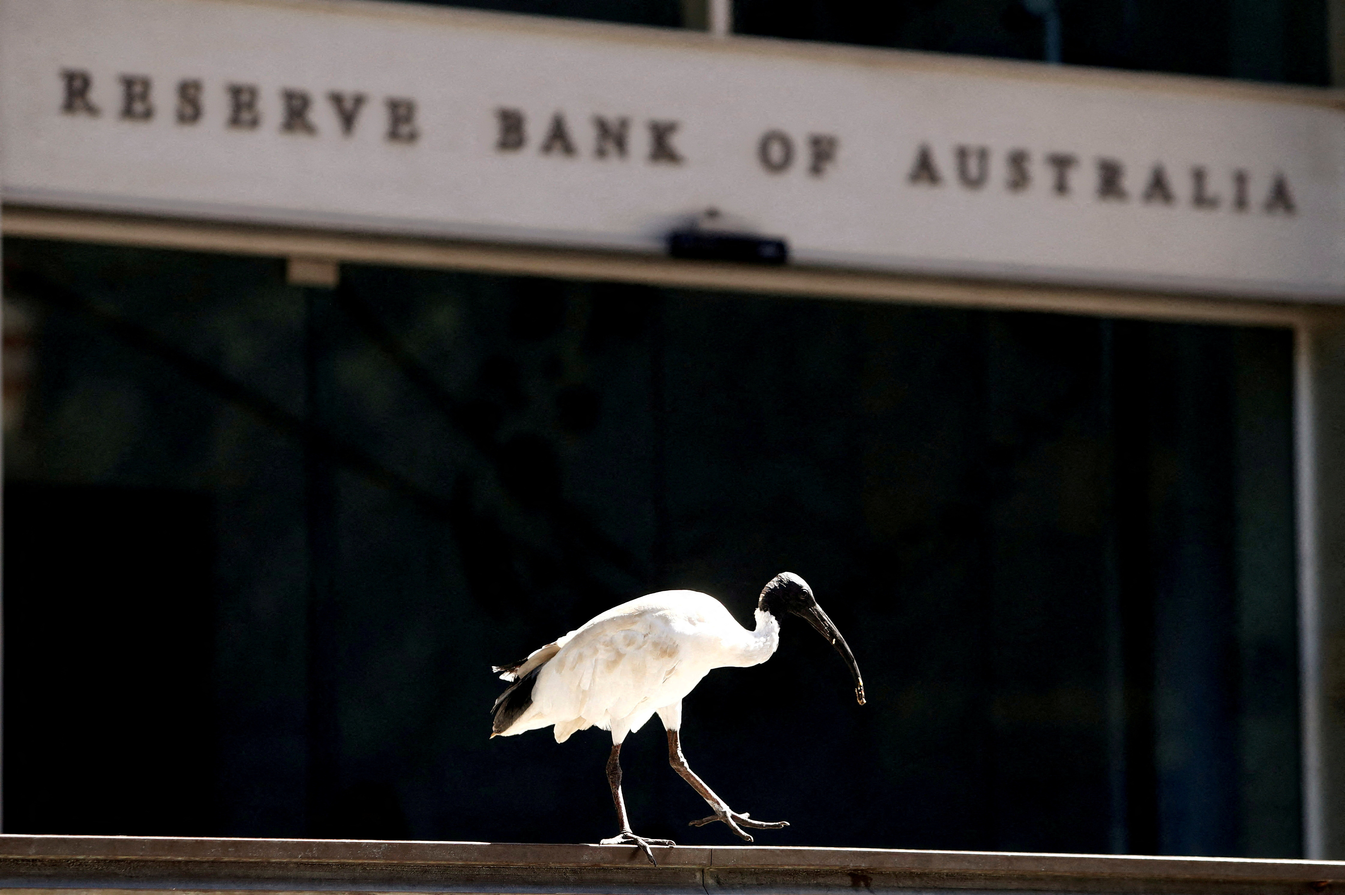 RBA to lift rates to 3.60% on March 7, finish at 3.85% in Q2