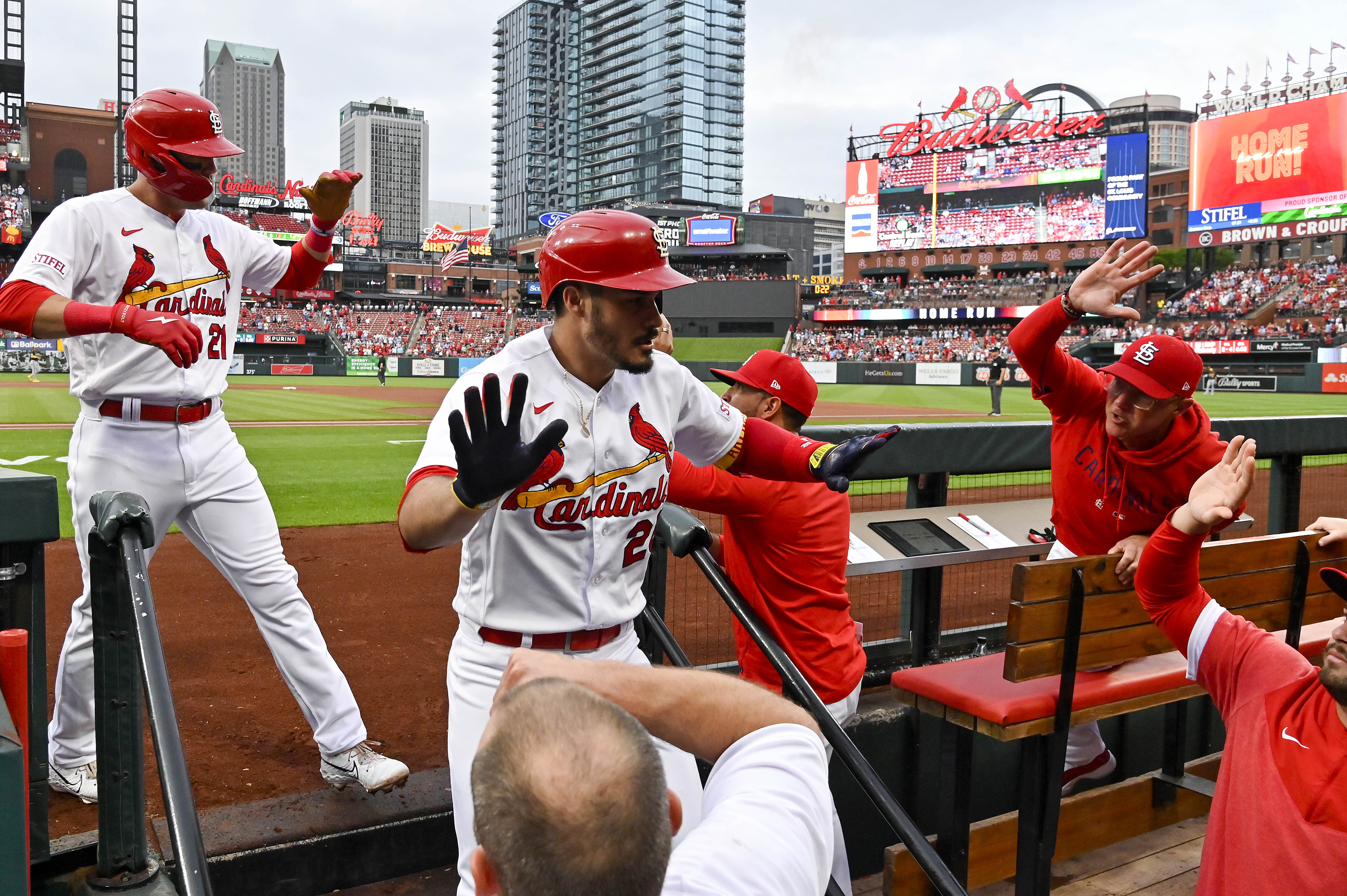 Celebrate Diversity  St. Louis Cardinals