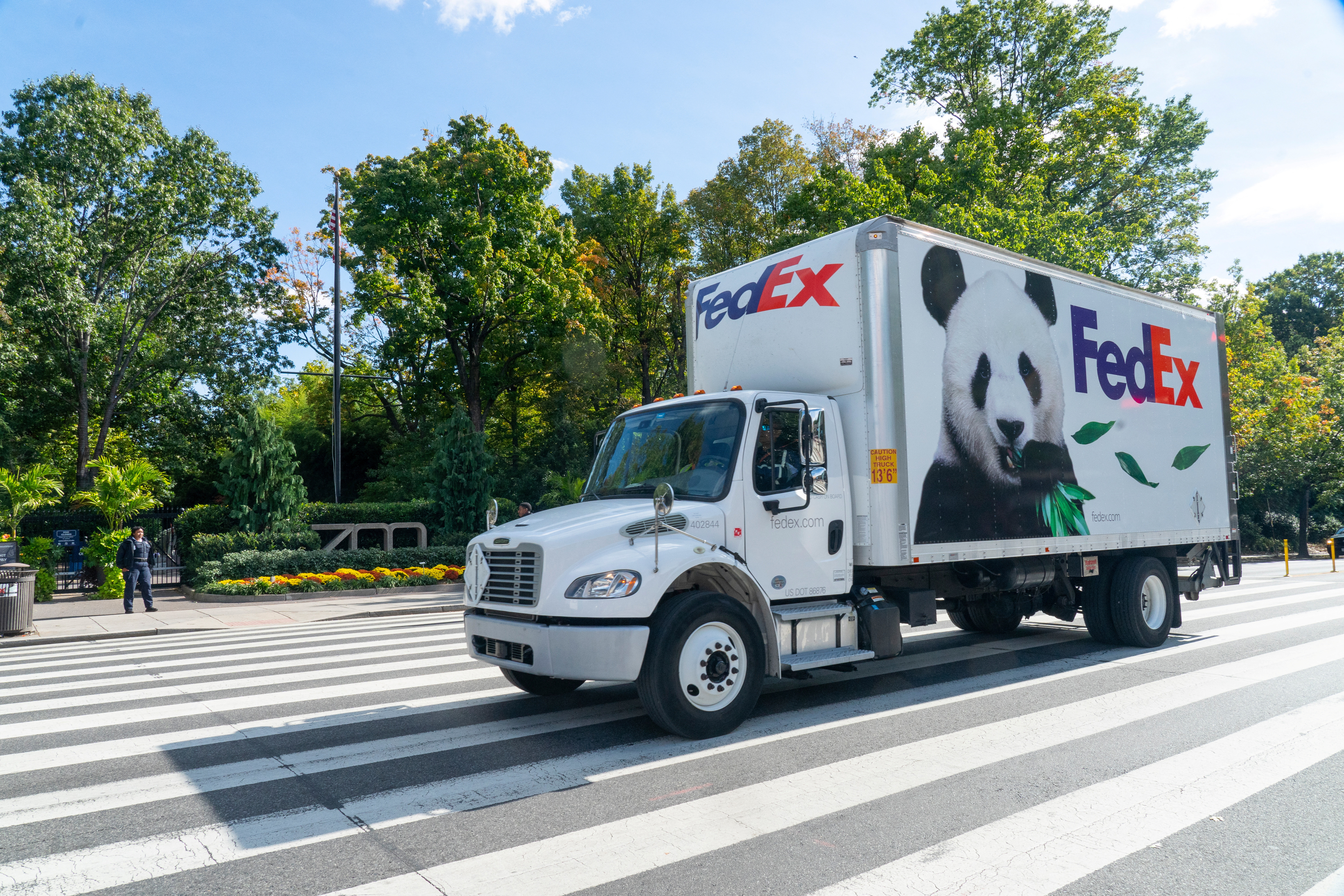 スピード発送PANDA Two giant pandas arrive at Washington's National Zoo from China