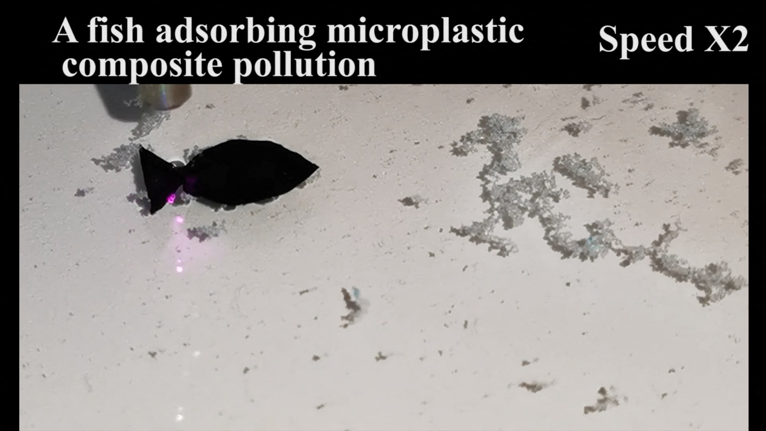 Robo-fish Capable Of Filtering Micro Plastics In Waterways Makes Waves
