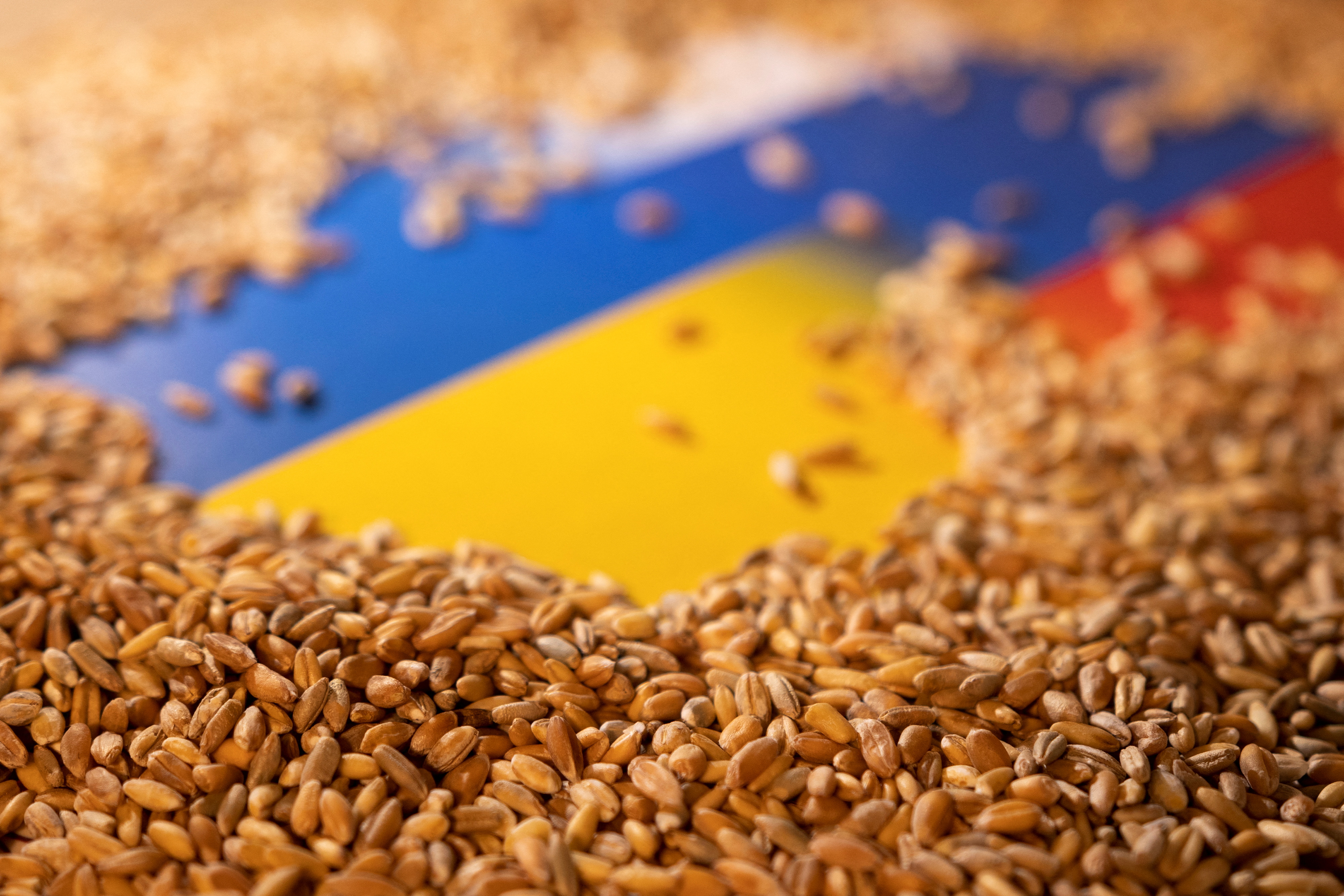 Illustration shows Ukrainian and Russian flags and grain