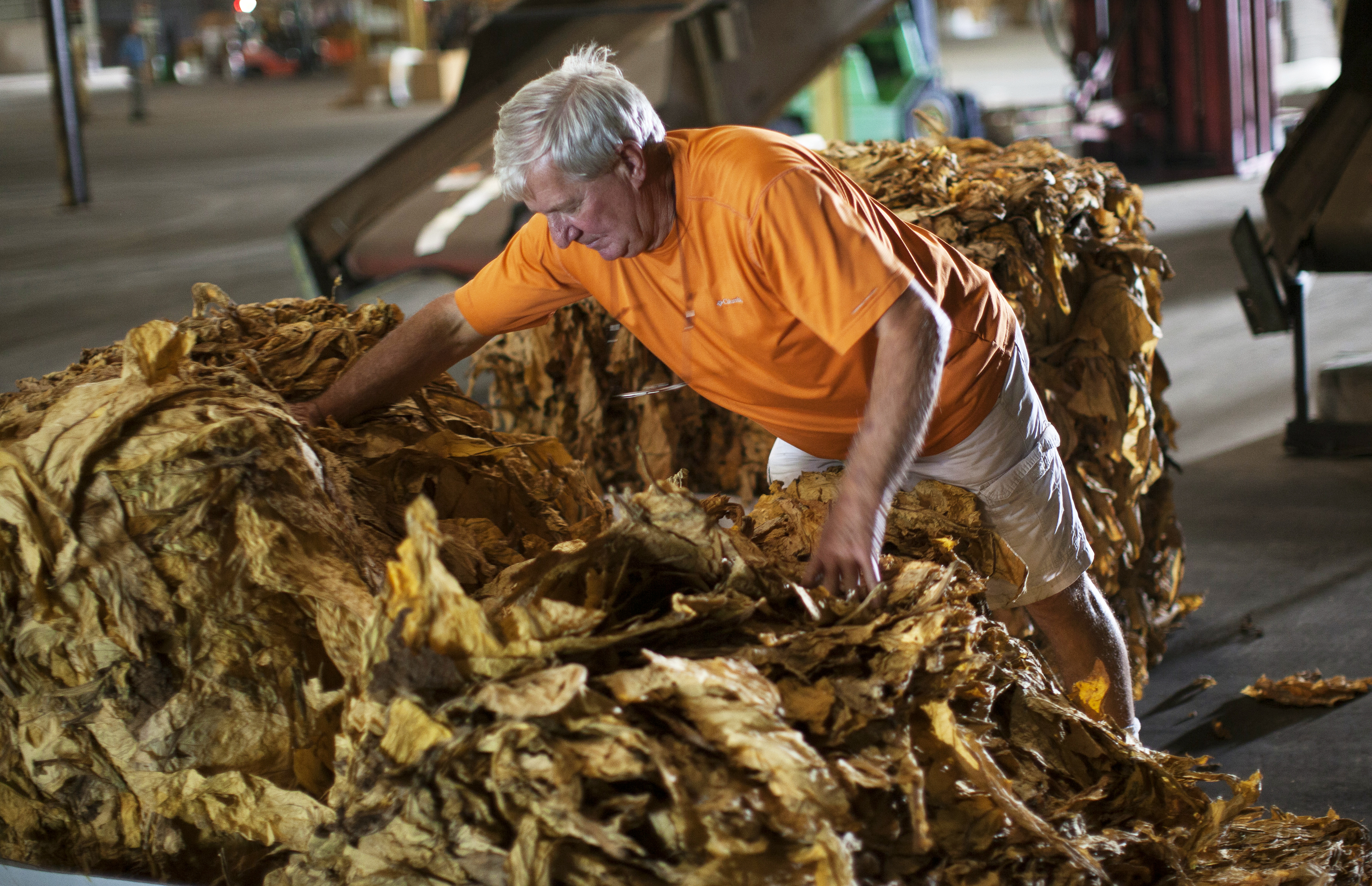 Exclusive: How COVID-19 stimulus money will end up in U.S. tobacco farmers'  pockets